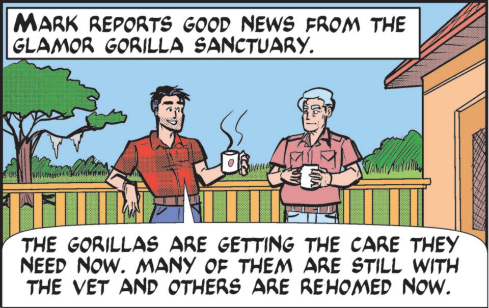Fictional character OCR: MARK REPORTS GOOD NEWS FROM THE GLAMOR GORILLA SANCTUARY. LILA THE GORILLAS ARE GETTING THE CARE THEY NEED NOW. MANY OF THEM ARE STILL WITH THE VET AND OTHERS ARE REHOMED NOW. MARK REPORTS GOOD NEWS FROM THE GLAMOR GORILLA SANCTUARY . LILA THE GORILLAS ARE GETTING THE CARE THEY NEED NOW . MANY OF THEM ARE STILL WITH THE VET AND OTHERS ARE REHOMED NOW .