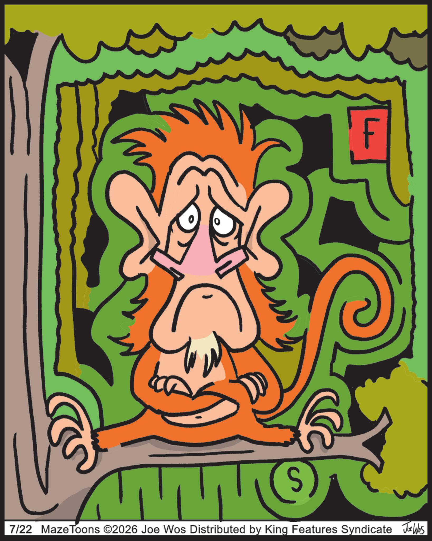 Modern art OCR: 7/22 MazeToons ©2026 Joe Wos Distributed by King Features Syndicate Joe Was 7/22 MazeToons © 2026 Joe Wos Distributed by King Features Syndicate Joe Was