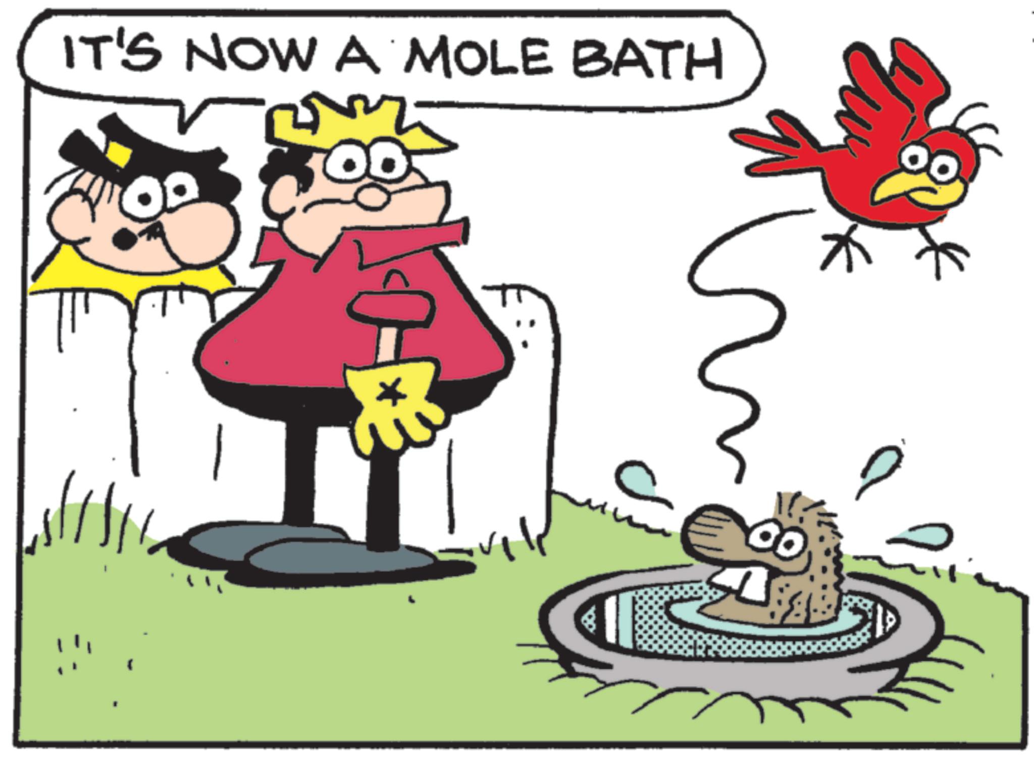 Clip art OCR: IT'S NOW A MOLE BATH 00 IT'S NOW A MOLE BATH 00