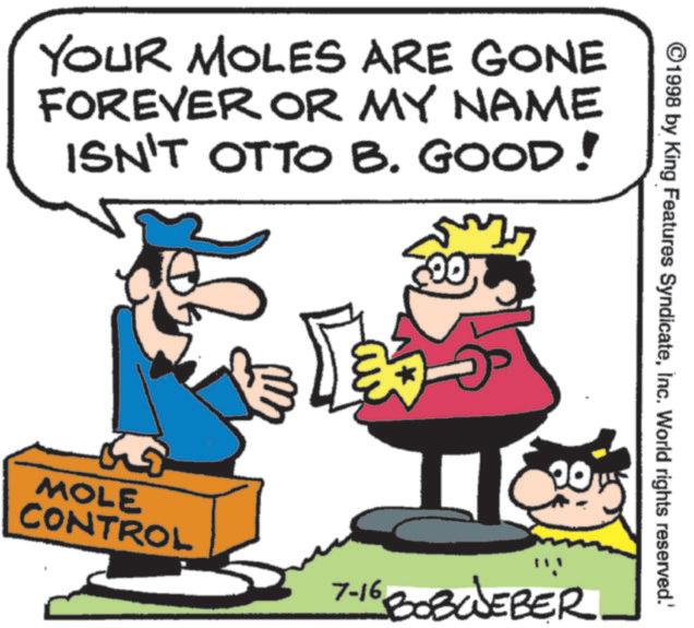 Graphics OCR: ©1998 by King Features SyndicateInc. World rights reserved.' YOUR MOLES ARE GONE FOREVER OR MY NAME ISN'T OTTO B. GOOD! L My 00 5 20 MOLE CONTROL 7-16 BOBWEBER © 1998 by King Features SyndicateInc. World rights reserved . ' YOUR MOLES ARE GONE FOREVER OR MY NAME ISN'T OTTO B. GOOD ! L My 00 5 20 MOLE CONTROL 7-16 BOBWEBER