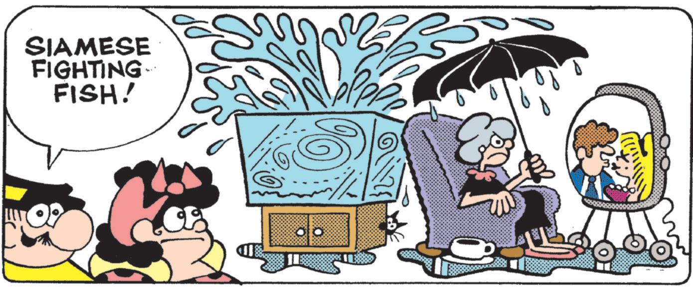 Comics OCR: SIAMESE FIGHTING FISH! 10° SIAMESE FIGHTING FISH ! 10 °