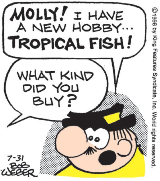 Fictional character OCR: ©1998 by King Features SyndicateInc. World rights reserved. MOLLY! I HAVE A NEW HOBBY... TROPICAL FISH! WHAT KIND DID YOU BUY? 7-31 .BOB WEBER © 1998 by King Features SyndicateInc. World rights reserved . MOLLY ! I HAVE A NEW HOBBY ... TROPICAL FISH ! WHAT KIND DID YOU BUY ? 7-31 .BOB WEBER