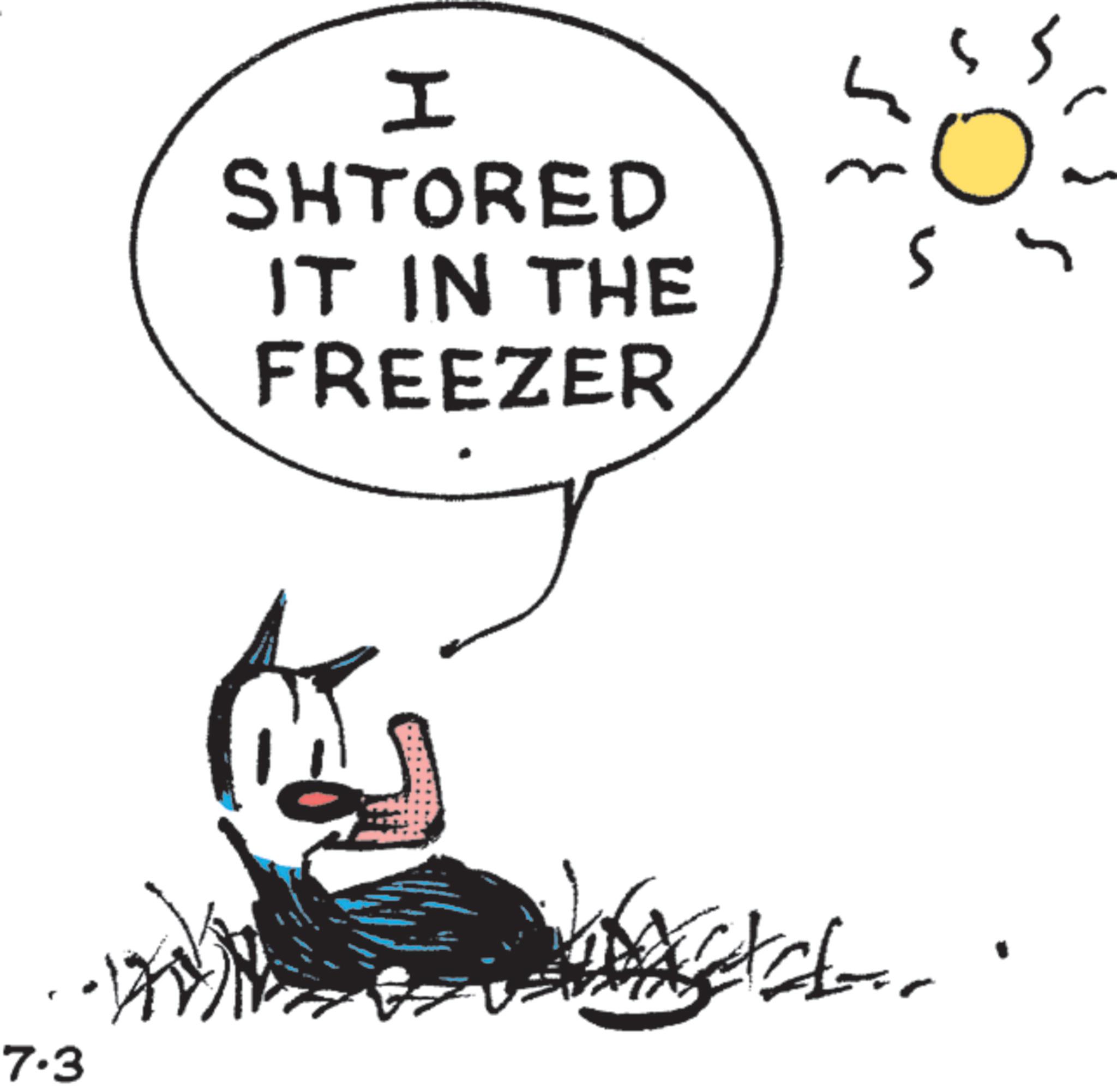 Graphics OCR: I SHTORED IT IN THE FREEZER 7.3 ???? ?? I SHTORED IT IN THE FREEZER 7.3 ???? ??
