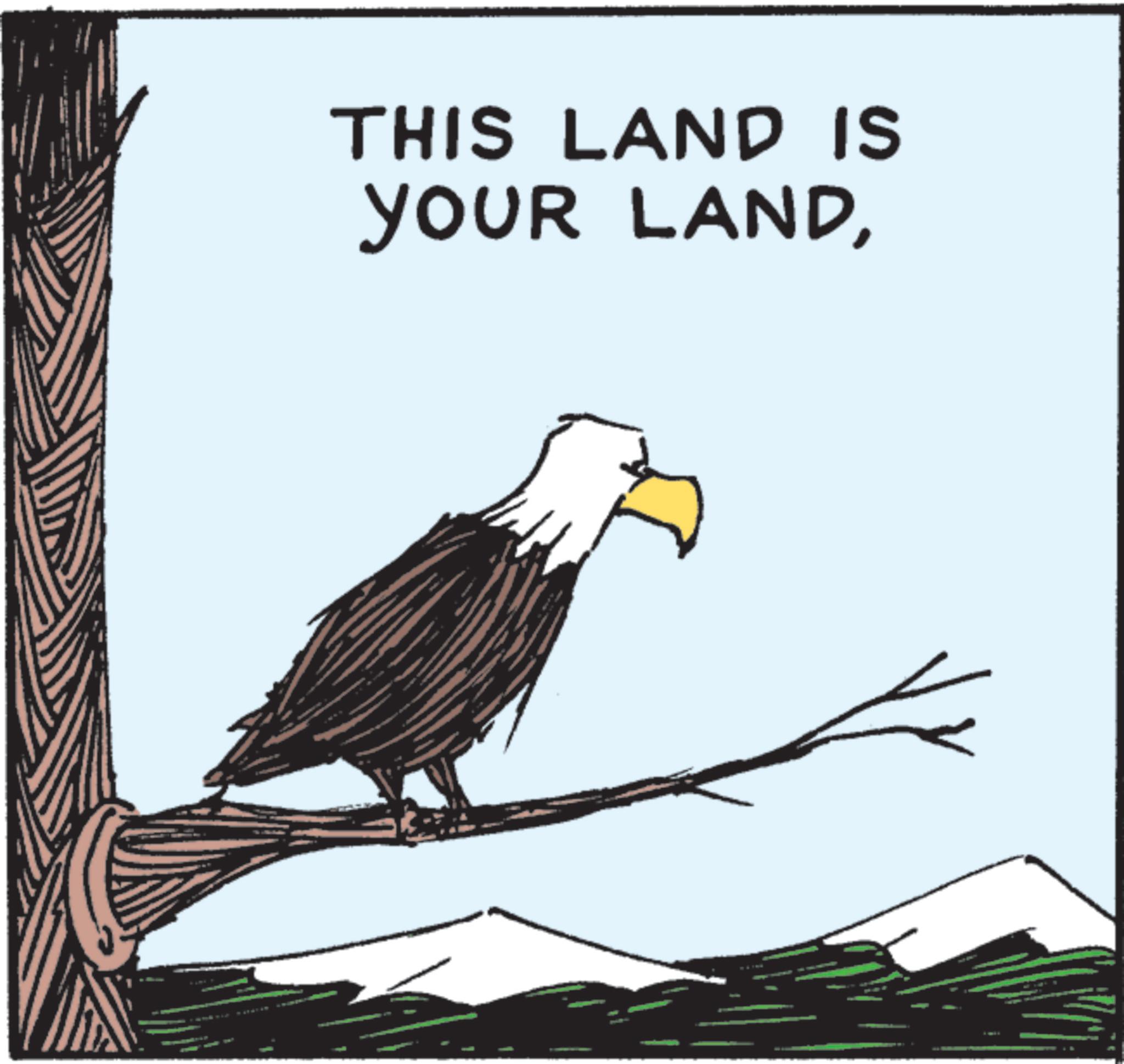 Photo caption OCR: THIS LAND IS YOUR LANDwww THIS LAND IS YOUR LAND