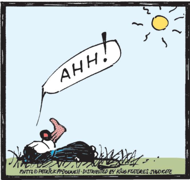 Animated cartoon OCR: AHH! ? MUTTS © PATRICK MCDONNELL DISTRIBUTED BY KING FEATURES SYNDICATE " AHH ! ? MUTTS © PATRICK MCDONNELL DISTRIBUTED BY KING FEATURES SYNDICATE "