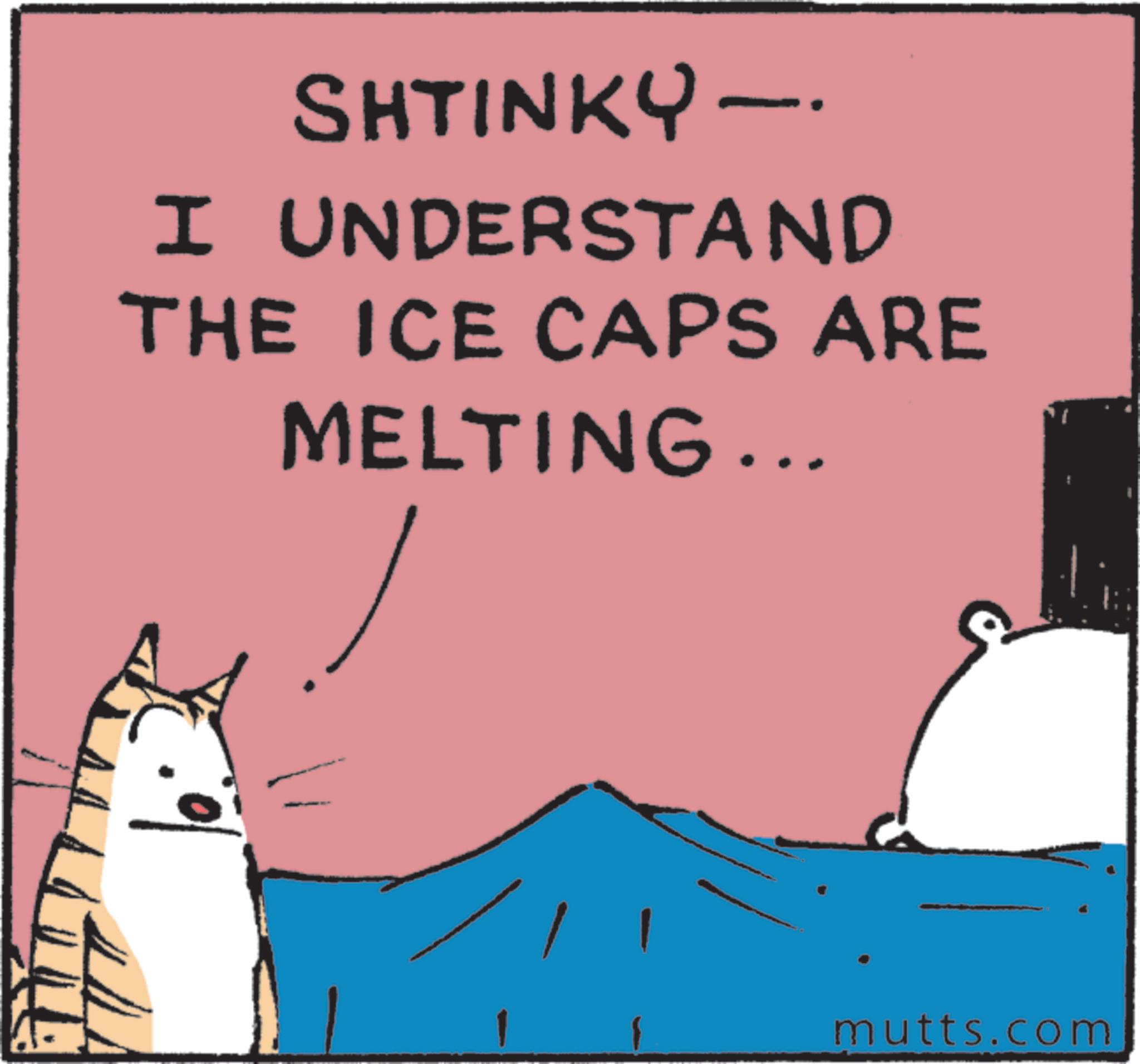 Photo caption OCR: SHTINKY-. I UNDERSTAND THE ICE CAPS ARE MELTING... mutts.com SHTINKY- . I UNDERSTAND THE ICE CAPS ARE MELTING ... mutts.com