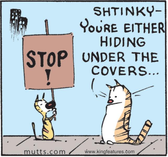 Mutts - Part 1 - 2026-07-11