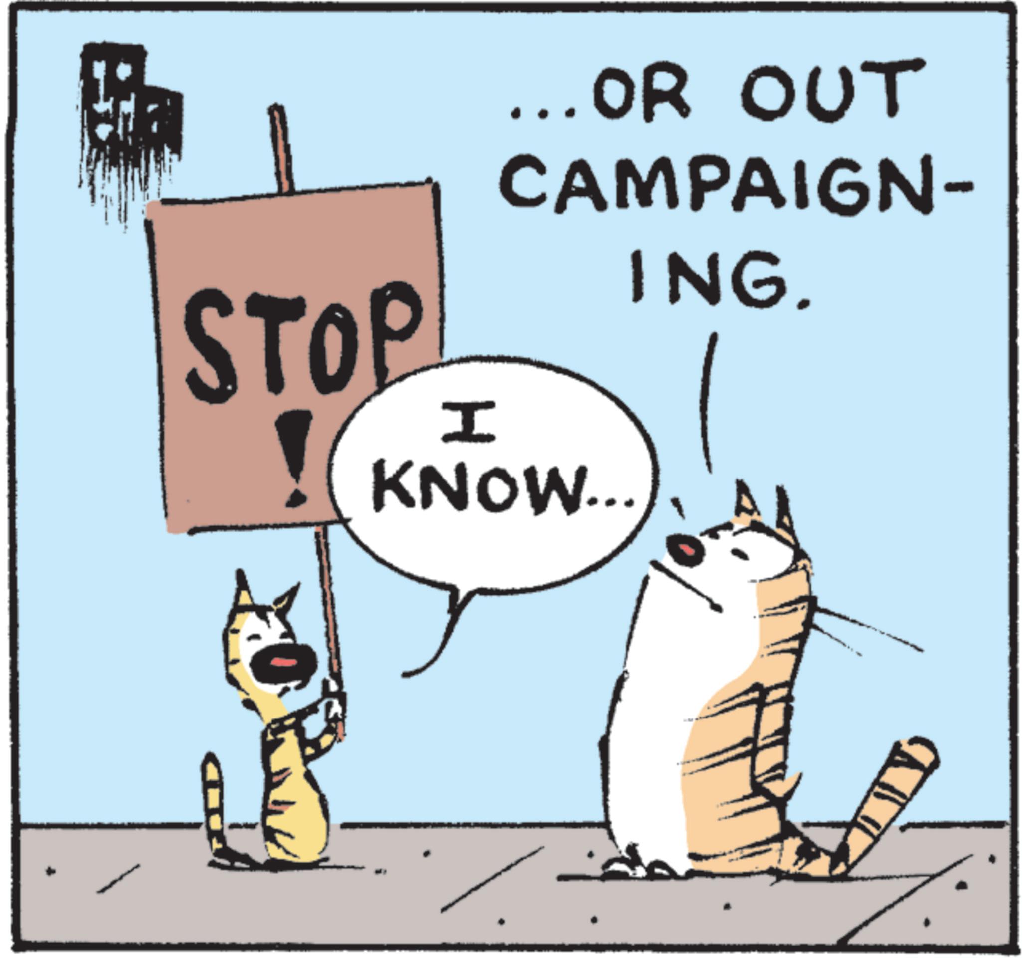 Felinae OCR: STOP H ... OR OUT CAMPAIGN- ING. KNOW... STOP H ... OR OUT CAMPAIGN- ING . KNOW ...