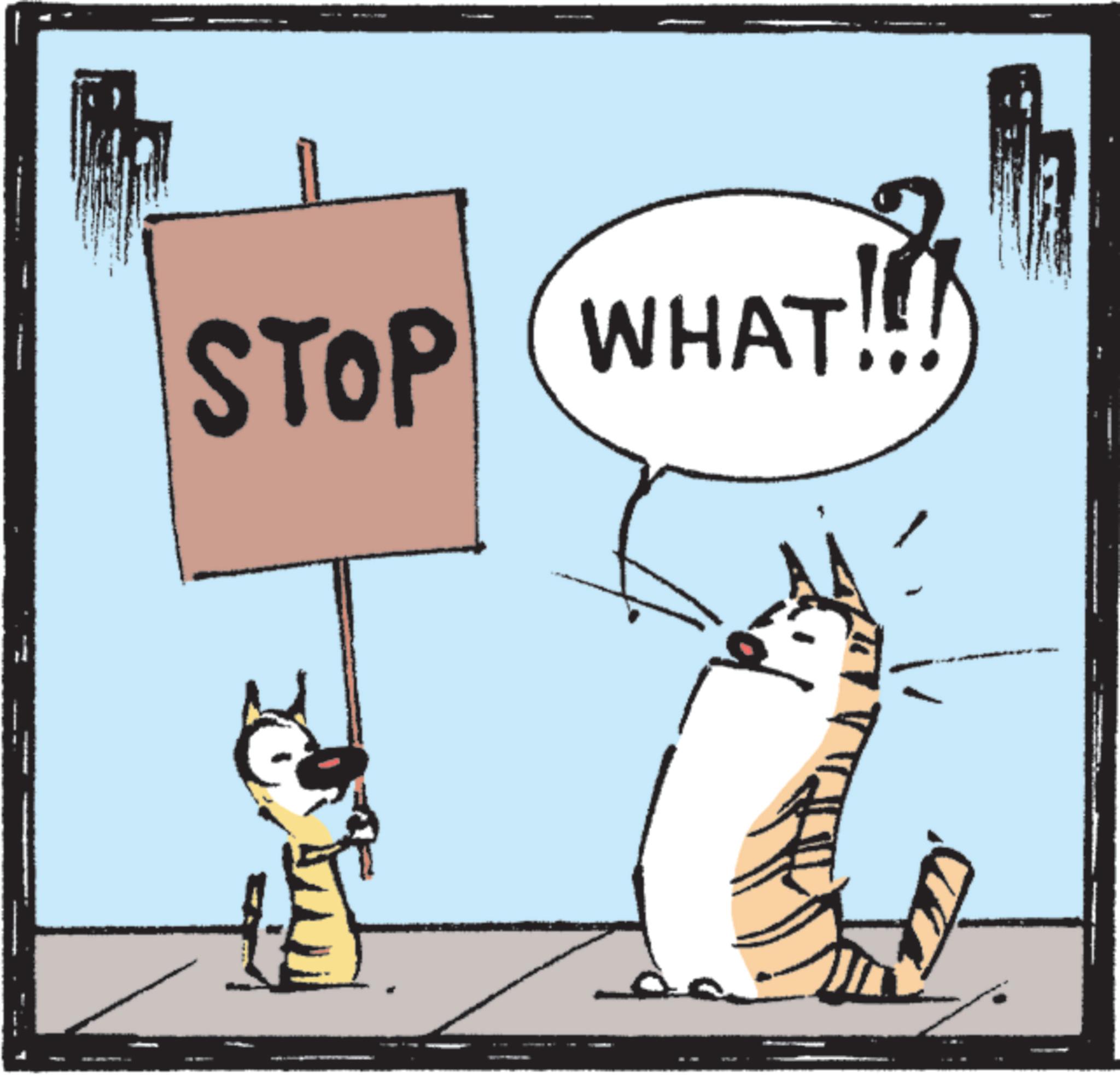 Snout OCR: STOP WHAT!!! STOP WHAT !!!