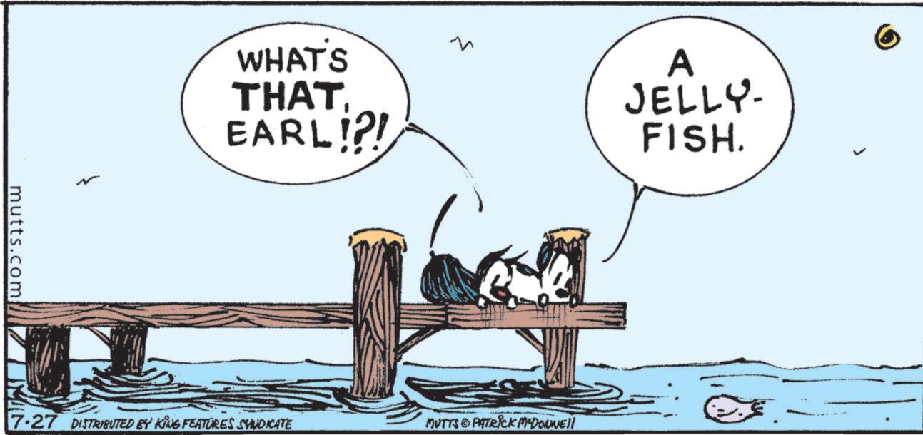 Tail OCR: mutts.com WHAT'S THATEARL!?! A JELLY- FISH. 7.27 DISTRIBUTED BY KING FEATURES SYNDICATE MUTTS PATRICK MYDOWWell mutts.com WHAT'S THATEARL ! ? ! A JELLY- FISH . 7.27 DISTRIBUTED BY KING FEATURES SYNDICATE MUTTS PATRICK MYDOWWell