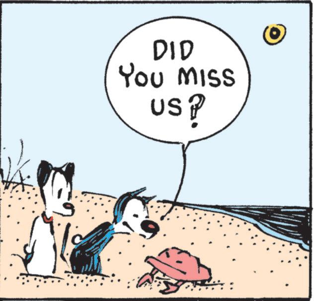 Beach OCR: DID YOU MISS USP DID YOU MISS USP