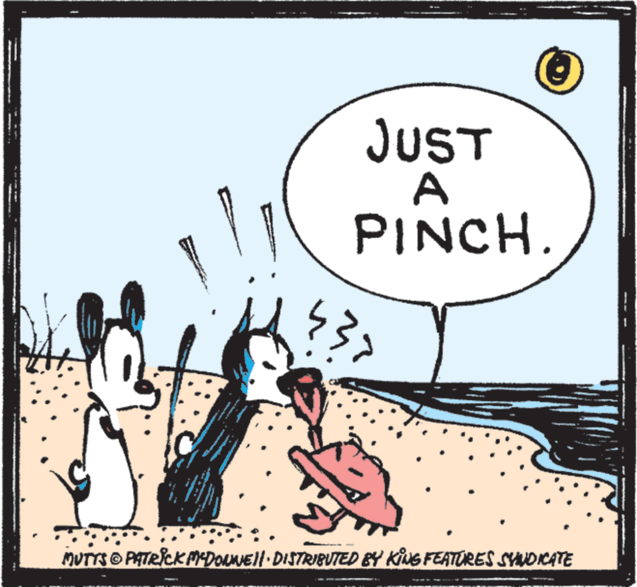 Fiction OCR: JUST A PINCH. wwwww MUTTS PATRICK MYDONNELL DISTRIBUTED BY KING FEATURES SYNDICATE JUST A PINCH . wwwww MUTTS PATRICK MYDONNELL DISTRIBUTED BY KING FEATURES SYNDICATE