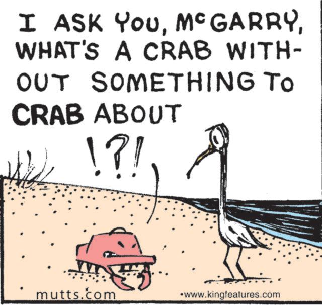 Photo caption OCR: I ASK YouWHAT'S A CRAB WITH- OUT SOMETHING TO CRAB ABOUT !?! mutts.com *www.kingfeatures.com I ASK YouWHAT'S A CRAB WITH- OUT SOMETHING TO CRAB ABOUT ! ? ! mutts.com * www.kingfeatures.com