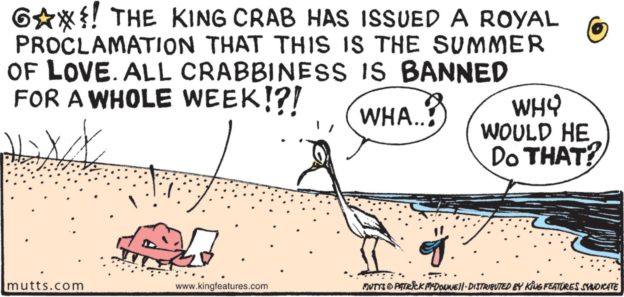 Beak OCR: G?*?! THE KING CRAB HAS ISSUED A ROYAL PROCLAMATION THAT THIS IS THE SUMMER OF LOVE. ALL CRABBINESS IS BANNED FOR A WHOLE WEEK!?! mutts.com www.kingfeatures.com WHA..! WHY WOULD HE Do THAT? MUTTS & PATRICK MCDONNELL DISTRIBUTED BY KING FEATURES SYNDICATE G ? * ?! THE KING CRAB HAS ISSUED A ROYAL PROCLAMATION THAT THIS IS THE SUMMER OF LOVE . ALL CRABBINESS IS BANNED FOR A WHOLE WEEK ! ? ! mutts.com www.kingfeatures.com WHA .. ! WHY WOULD HE Do THAT ? MUTTS & PATRICK MCDONNELL DISTRIBUTED BY KING FEATURES SYNDICATE