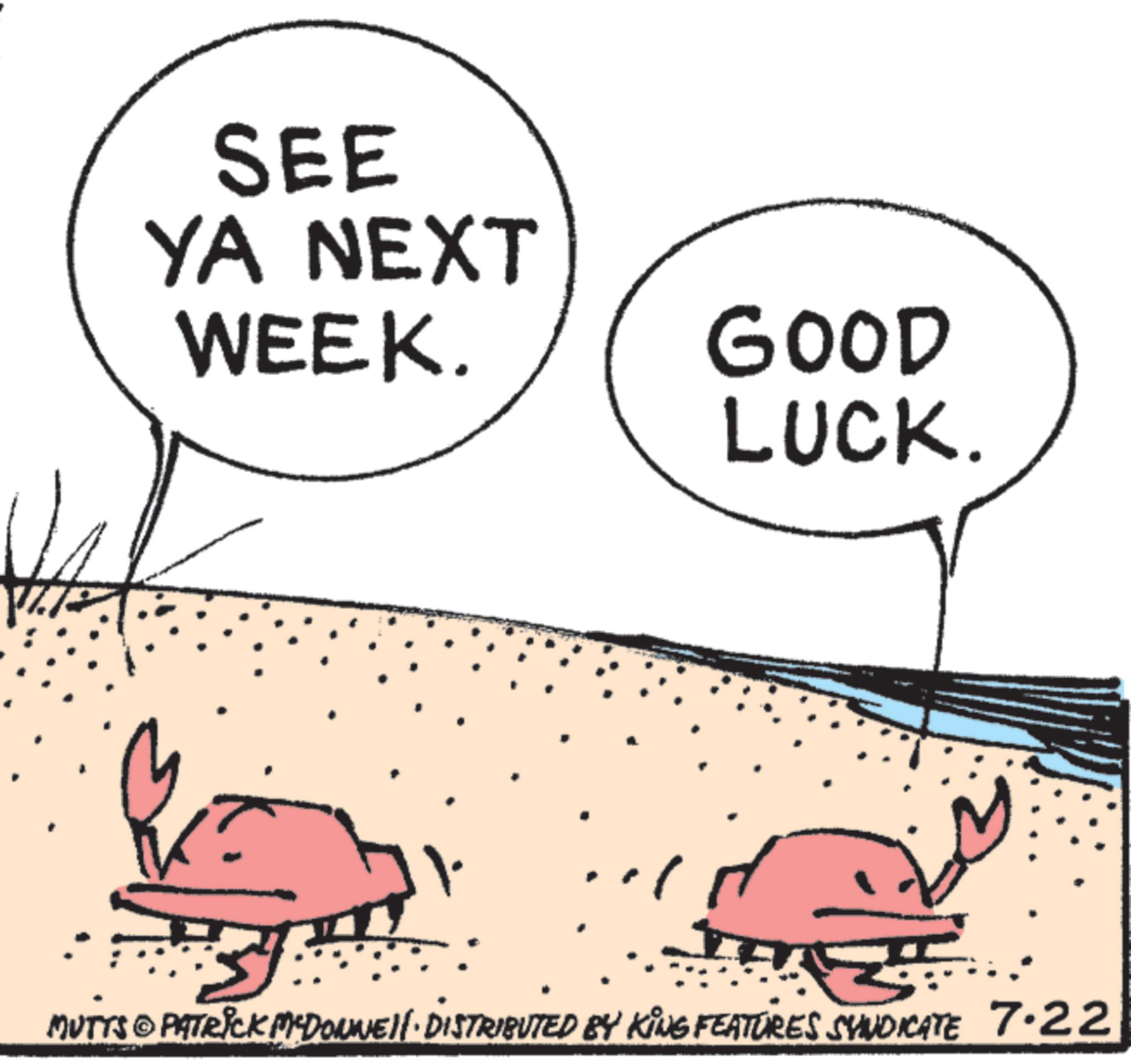 Photo caption OCR: SEE YA NEXT WEEK. GOOD LUCK. MUTTS & PATRICK M'DONNELL DISTRIBUTED BY KING FEATURES SYNDICATE 7.22 SEE YA NEXT WEEK . GOOD LUCK . MUTTS & PATRICK M'DONNELL DISTRIBUTED BY KING FEATURES SYNDICATE 7.22