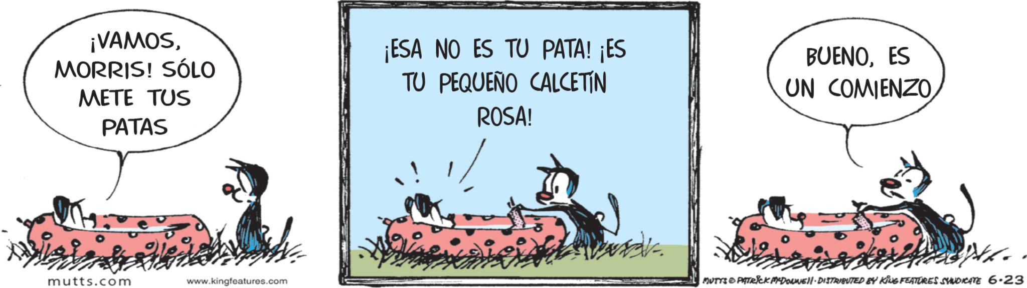 Fictional character OCR: ¡VAMOSMORRIS! SÓLO METE TUS PATAS ¡ESA NO ES TU PATA! ¡ES TU PEQUEÑO CALCETIN ROSA! BUENOES UN COMIENZOmutts.com www.kingfeatures.com MUTYS PATRICK MADONNE DISTRIBUTED BY KING FEATURES SYNDICATE 6.23 ¡ VAMOSMORRIS ! SÓLO METE TUS PATAS ¡ ESA NO ES TU PATA ! ¡ ES TU PEQUEÑO CALCETIN ROSA ! BUENOES UN COMIENZOmutts.com www.kingfeatures.com MUTYS PATRICK MADONNE DISTRIBUTED BY KING FEATURES SYNDICATE 6.23