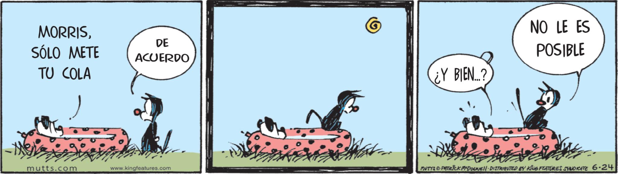 Comic book OCR: MORRISSÓLO METE TU COLA DE ACUERDO ¿Y BIEN...? NO LE ES POSIBLE mutts.com www.kingfeatures.com MUTTS & PATRICK DOWNE DISTRIBUTED BY KING FEATURES SYNDICATE 6.24 MORRISSÓLO METE TU COLA DE ACUERDO ¿ Y BIEN ... ? NO LE ES POSIBLE mutts.com www.kingfeatures.com MUTTS & PATRICK DOWNE DISTRIBUTED BY KING FEATURES SYNDICATE 6.24