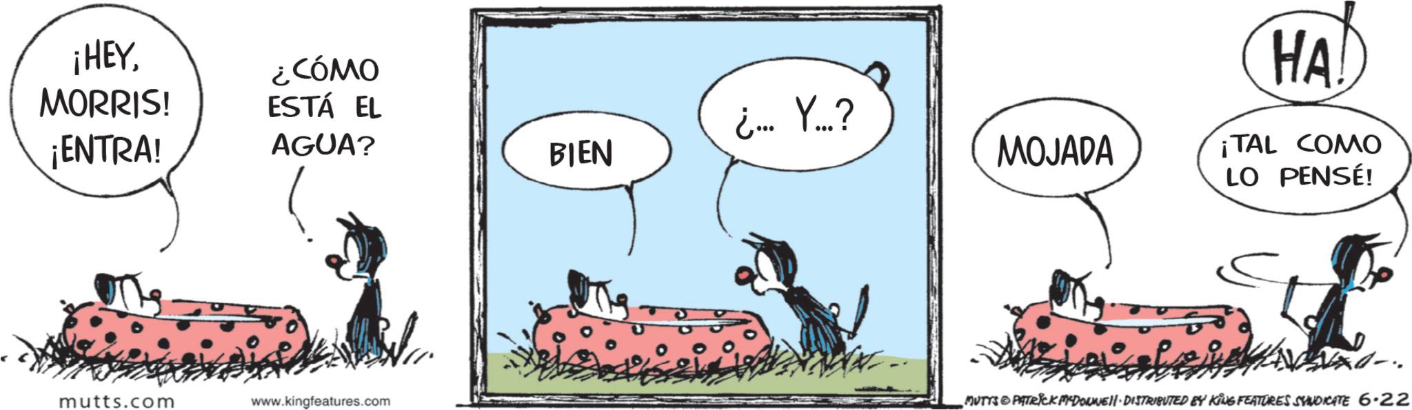 Comics OCR: ¡HEY¿CÓMO MORRIS! ¡ENTRA! ESTÁ EL AGUA? ¿... Y ...? BIEN MOJADA mutts.com www.kingfeatures.com HA! ¡TAL COMO LO PENSÉ! MUTYS PATRICK MYDOLMEI!· DISTRIBUTED BY KING FEATURES SYNDICATE 6-22 ¡ HEY¿ CÓMO MORRIS ! ¡ ENTRA ! ESTÁ EL AGUA ? ¿ ... Y ... ? BIEN MOJADA mutts.com www.kingfeatures.com HA ! ¡ TAL COMO LO PENSÉ ! MUTYS PATRICK MYDOLMEI ! · DISTRIBUTED BY KING FEATURES SYNDICATE 6-22
