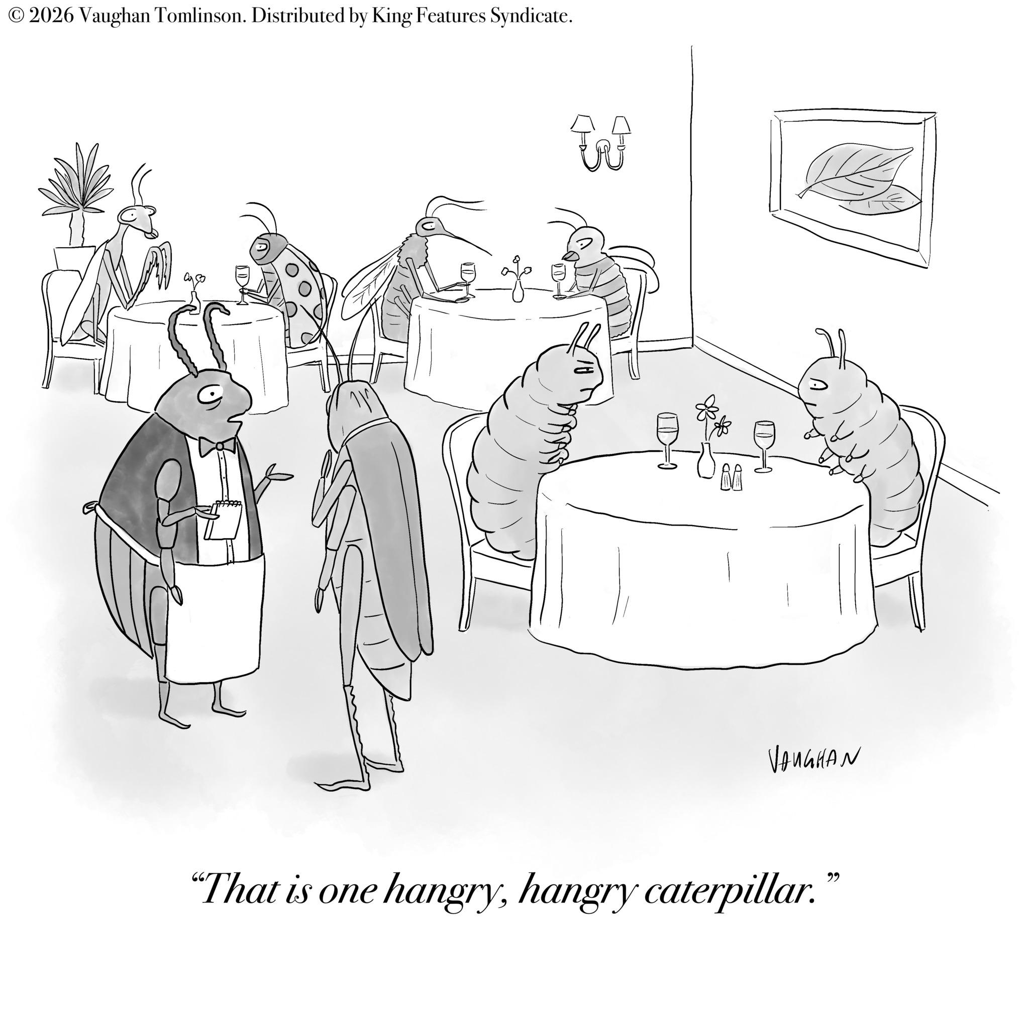 Sketch OCR: © 2026 Vaughan Tomlinson. Distributed by King Features Syndicate. ????? W VAUGHAN "That is one hangryhangry caterpillar." © 2026 Vaughan Tomlinson . Distributed by King Features Syndicate . ????? W VAUGHAN " That is one hangryhangry caterpillar . "