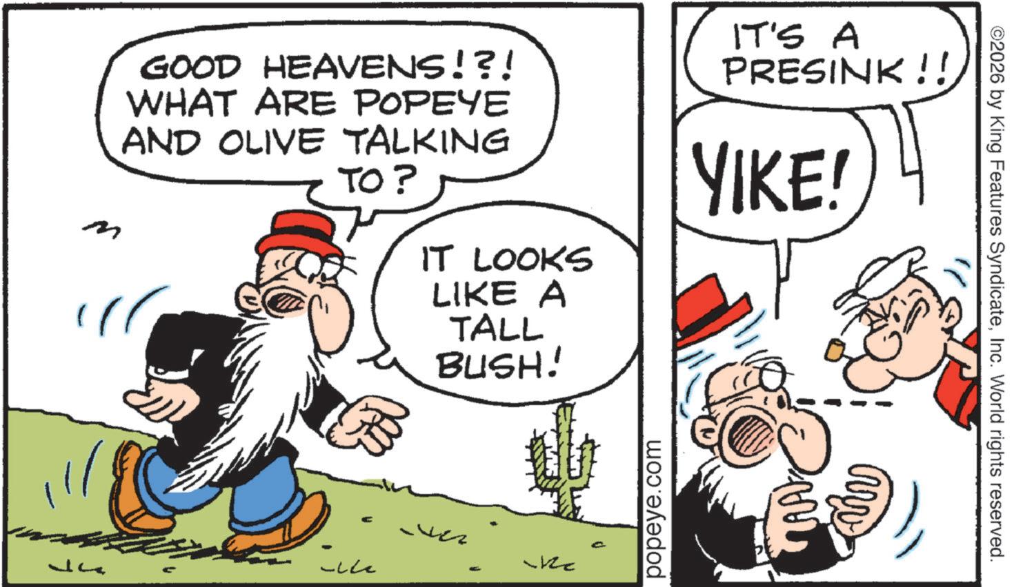 Pleased OCR: GOOD HEAVENS!?! WHAT ARE POPEYE AND OLIVE TALKING TO? IT LOOKS LIKE A TALL BUSH! IT'S A PRESINK!! YIKE! m -L vez popeye.com ©2026 by King Features SyndicateInc. World rights reserved. GOOD HEAVENS ! ? ! WHAT ARE POPEYE AND OLIVE TALKING TO ? IT LOOKS LIKE A TALL BUSH ! IT'S A PRESINK !! YIKE ! m -L vez popeye.com © 2026 by King Features SyndicateInc. World rights reserved .