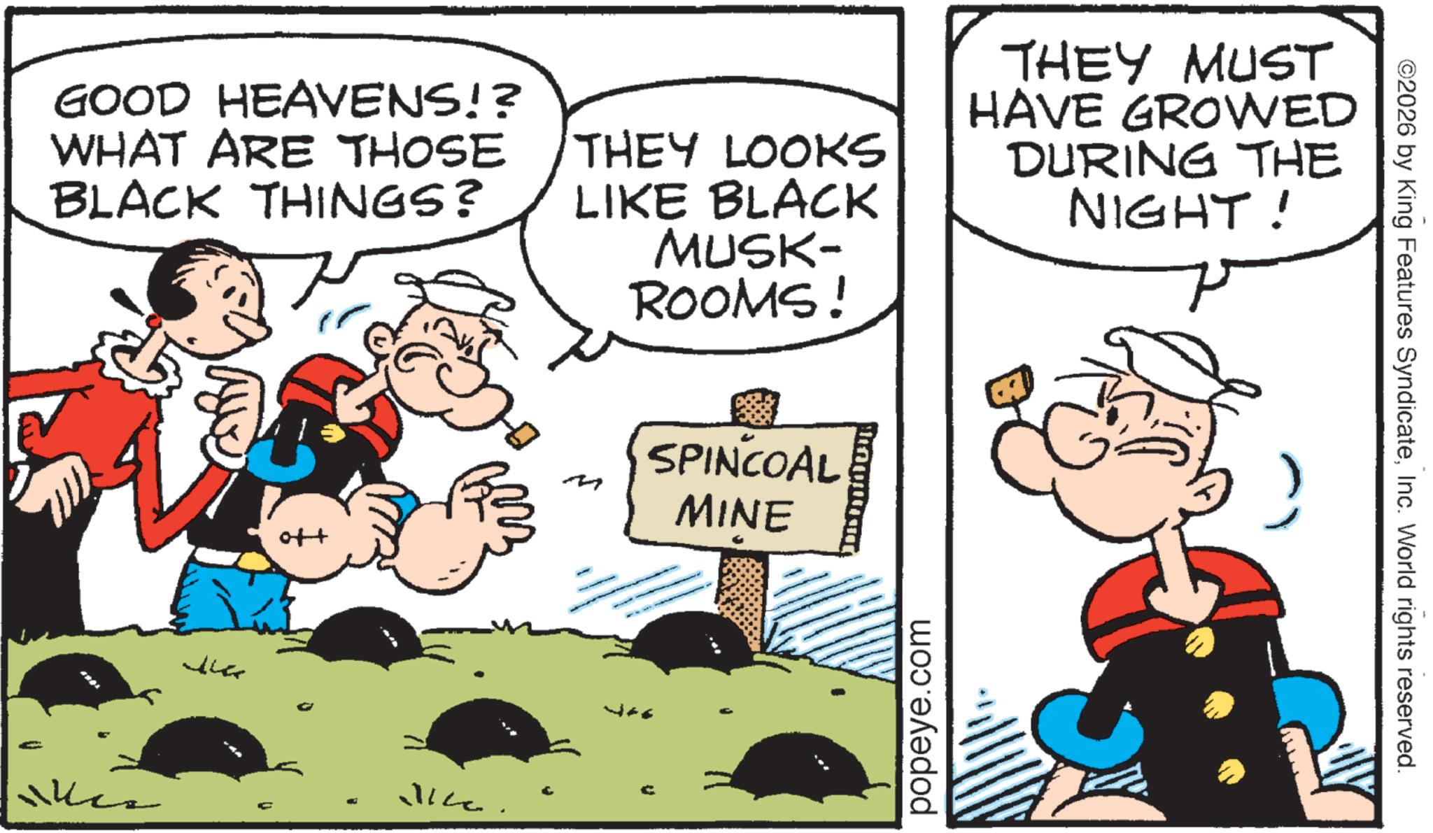 Animation OCR: GOOD HEAVENS!? WHAT ARE THOSE BLACK THINGS? THEY LOOKS LIKE BLACK THEY MUST HAVE GROWED DURING THE NIGHT! the MUSK- ROOMS! M SPINCOAL MINE popeye.com ? ©2026 by King Features SyndicateInc. World rights reserved. GOOD HEAVENS !? WHAT ARE THOSE BLACK THINGS ? THEY LOOKS LIKE BLACK THEY MUST HAVE GROWED DURING THE NIGHT ! the MUSK- ROOMS ! M SPINCOAL MINE popeye.com ? © 2026 by King Features SyndicateInc. World rights reserved .