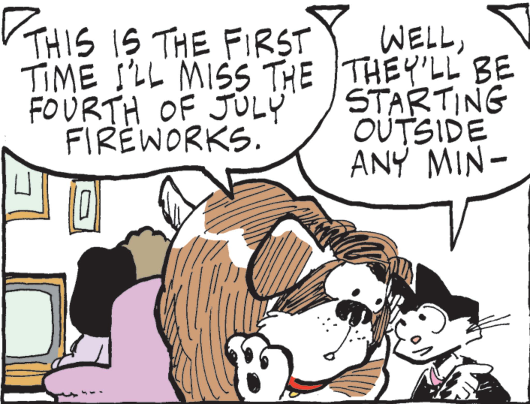 Animation OCR: ? THIS IS THE FIRST TIME I'LL MISS THE FOURTH OF JULY FIREWORKS. 0 WELLTHEY'LL BE STARTING OUTSIDE ANY MIN- ? THIS IS THE FIRST TIME I'LL MISS THE FOURTH OF JULY FIREWORKS . 0 WELLTHEY'LL BE STARTING OUTSIDE ANY MIN-