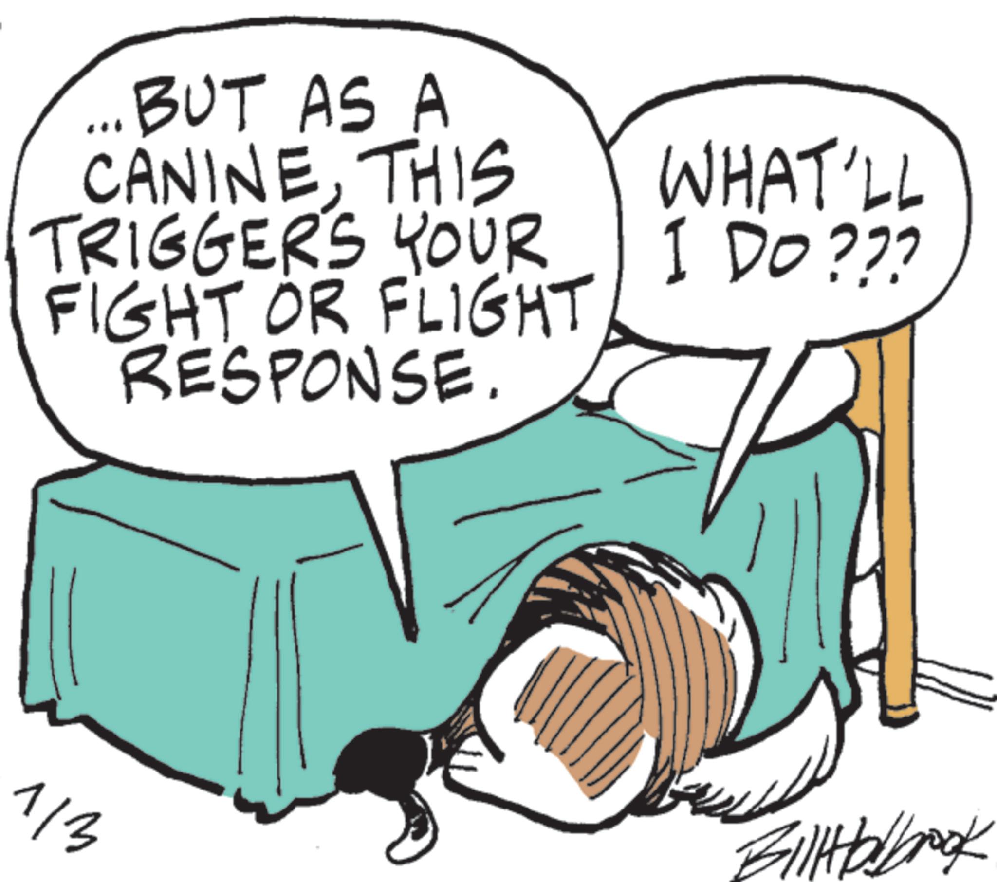 Comics OCR: ... BUT AS A CANINETHIS TRIGGERS YOUR FIGHT OR FLIGHT RESPONSE. WHAT'LL I DO??? BillHolbrook 1/3 ... BUT AS A CANINETHIS TRIGGERS YOUR FIGHT OR FLIGHT RESPONSE . WHAT'LL I DO ??? BillHolbrook 1/3