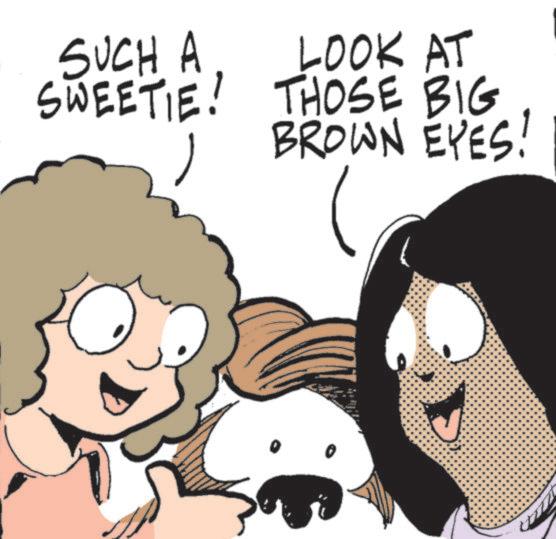 Fictional character OCR: SUCH A LOOK AT SWEETIE! THOSE BIG BROWN EYES! ( SUCH A LOOK AT SWEETIE ! THOSE BIG BROWN EYES ! (