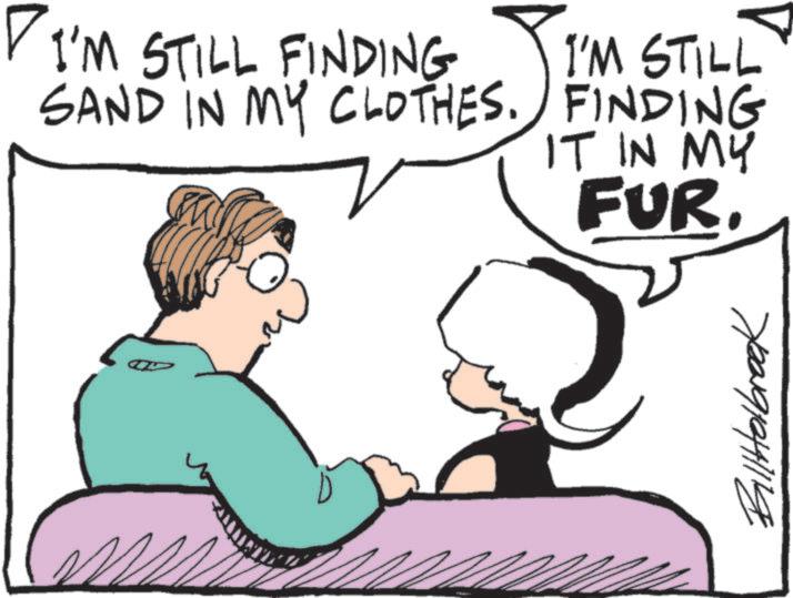 Animation OCR: I'M STILL FINDING I'M STILL SAND IN MY CLOTHES. FINDING IT IN MY FUR. BillHolbrook I'M STILL FINDING I'M STILL SAND IN MY CLOTHES . FINDING IT IN MY FUR . BillHolbrook