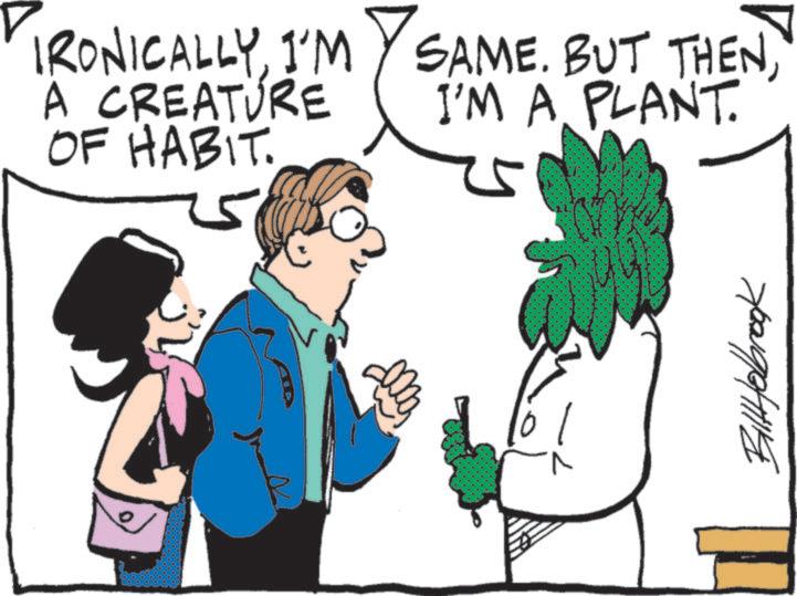 Cartoon OCR: IRONICALLYI'M A CREATURE OF HABIT. SAME. BUT THENI'M A PLANT. BillHolbrook IRONICALLYI'M A CREATURE OF HABIT . SAME . BUT THENI'M A PLANT . BillHolbrook