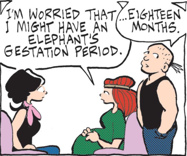 Graphics OCR: MONTHS I'M WORRIED THAT... EIGHTEEN I MIGHT HAVE AN ELEPHANT'S GESTATION PERIOD ??) MONTHS I'M WORRIED THAT ... EIGHTEEN I MIGHT HAVE AN ELEPHANT'S GESTATION PERIOD ?? )