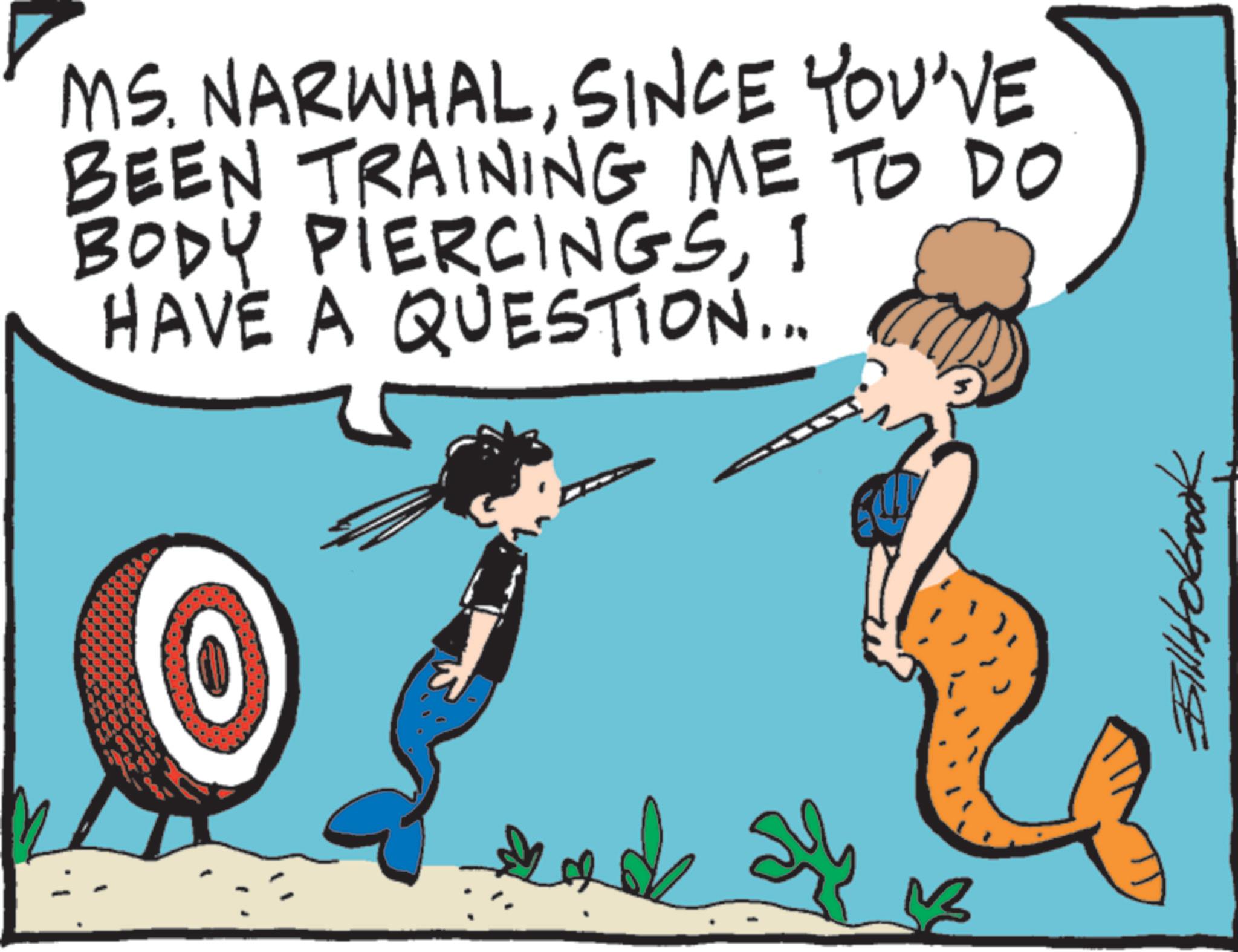 Comics OCR: MS. NARWHALSINCE YOU'VE BEEN TRAINING ME TO DO BODY PIERCINGSI HAVE A QUESTION... O 3 Bill Holbrook MS . NARWHALSINCE YOU'VE BEEN TRAINING ME TO DO BODY PIERCINGSI HAVE A QUESTION ... O 3 Bill Holbrook