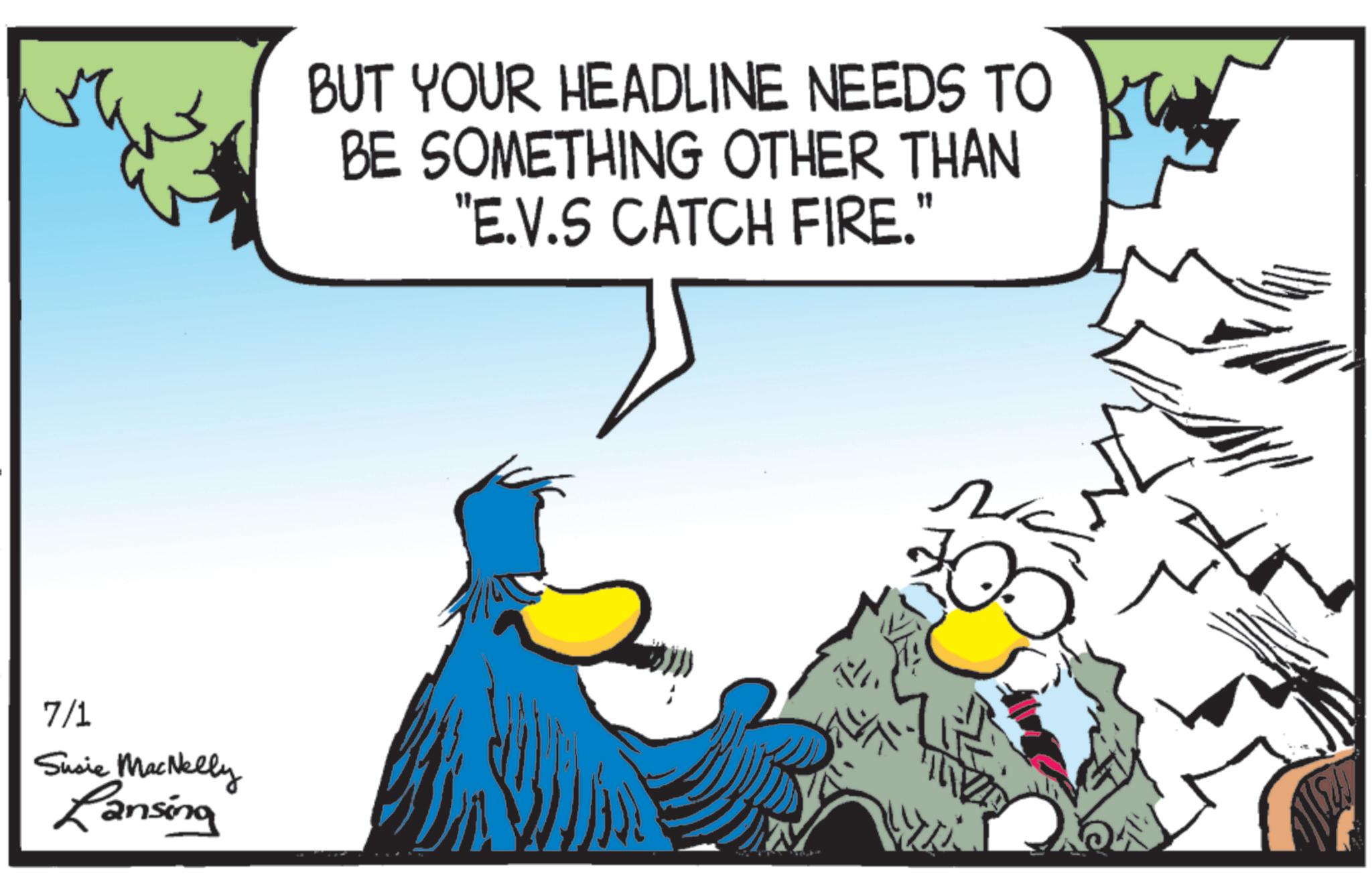 Flightless bird OCR: 7/1 Susie MacNelly Lansing BUT YOUR HEADLINE NEEDS TO BE SOMETHING OTHER THAN "E.V.S CATCH FIRE." ?? 7/1 Susie MacNelly Lansing BUT YOUR HEADLINE NEEDS TO BE SOMETHING OTHER THAN " E.V.S CATCH FIRE . " ??