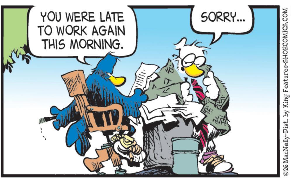 Graphic design OCR: YOU WERE LATE TO WORK AGAIN THIS MORNING. SORRY... ©26 MacNelly-Dist. by King Features-SHOECOMICS.COM YOU WERE LATE TO WORK AGAIN THIS MORNING . SORRY ... © 26 MacNelly - Dist . by King Features-SHOECOMICS.COM