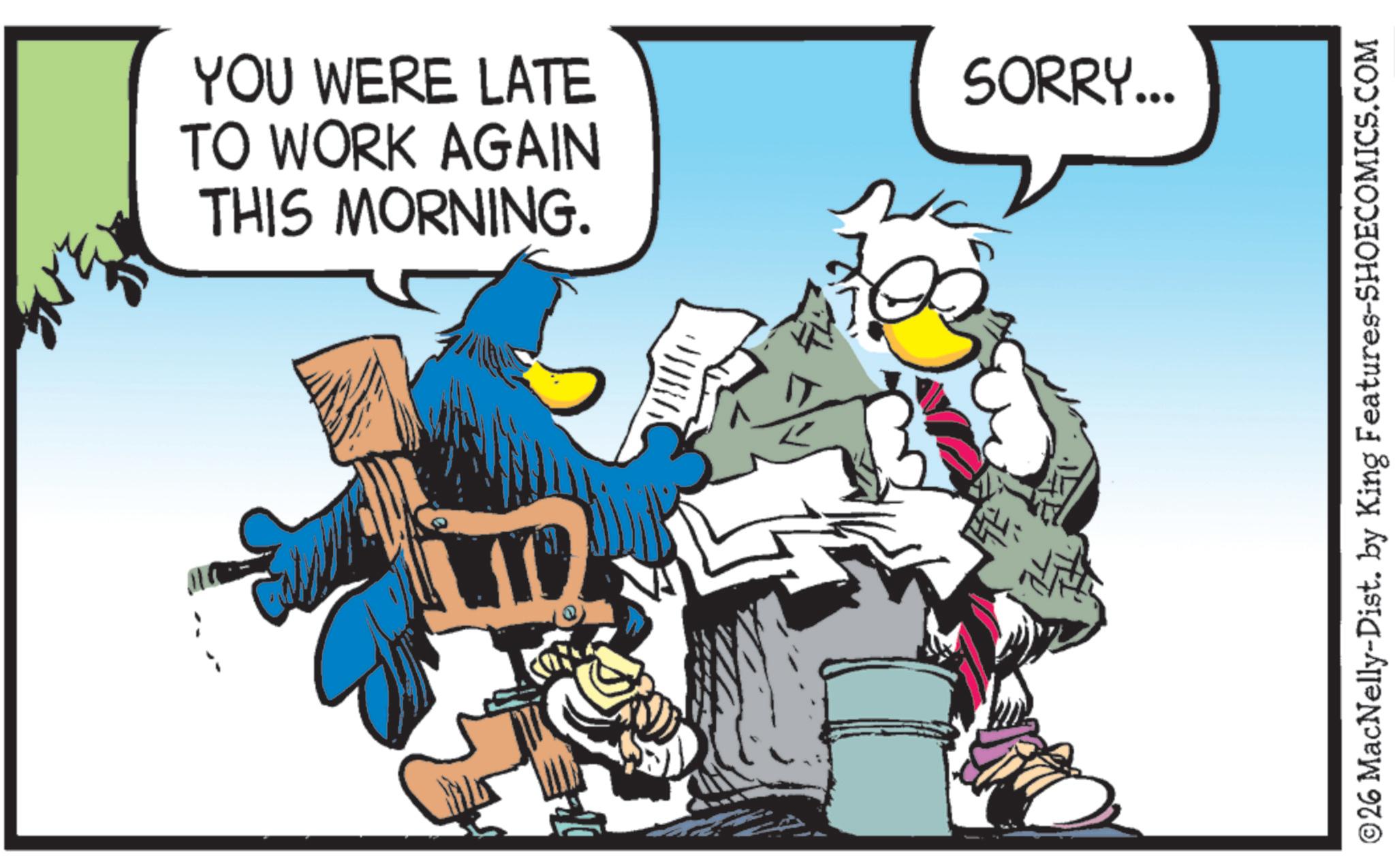 Graphic design OCR: YOU WERE LATE TO WORK AGAIN THIS MORNING. SORRY... ©26 MacNelly-Dist. by King Features-SHOECOMICS.COM YOU WERE LATE TO WORK AGAIN THIS MORNING . SORRY ... © 26 MacNelly - Dist . by King Features-SHOECOMICS.COM