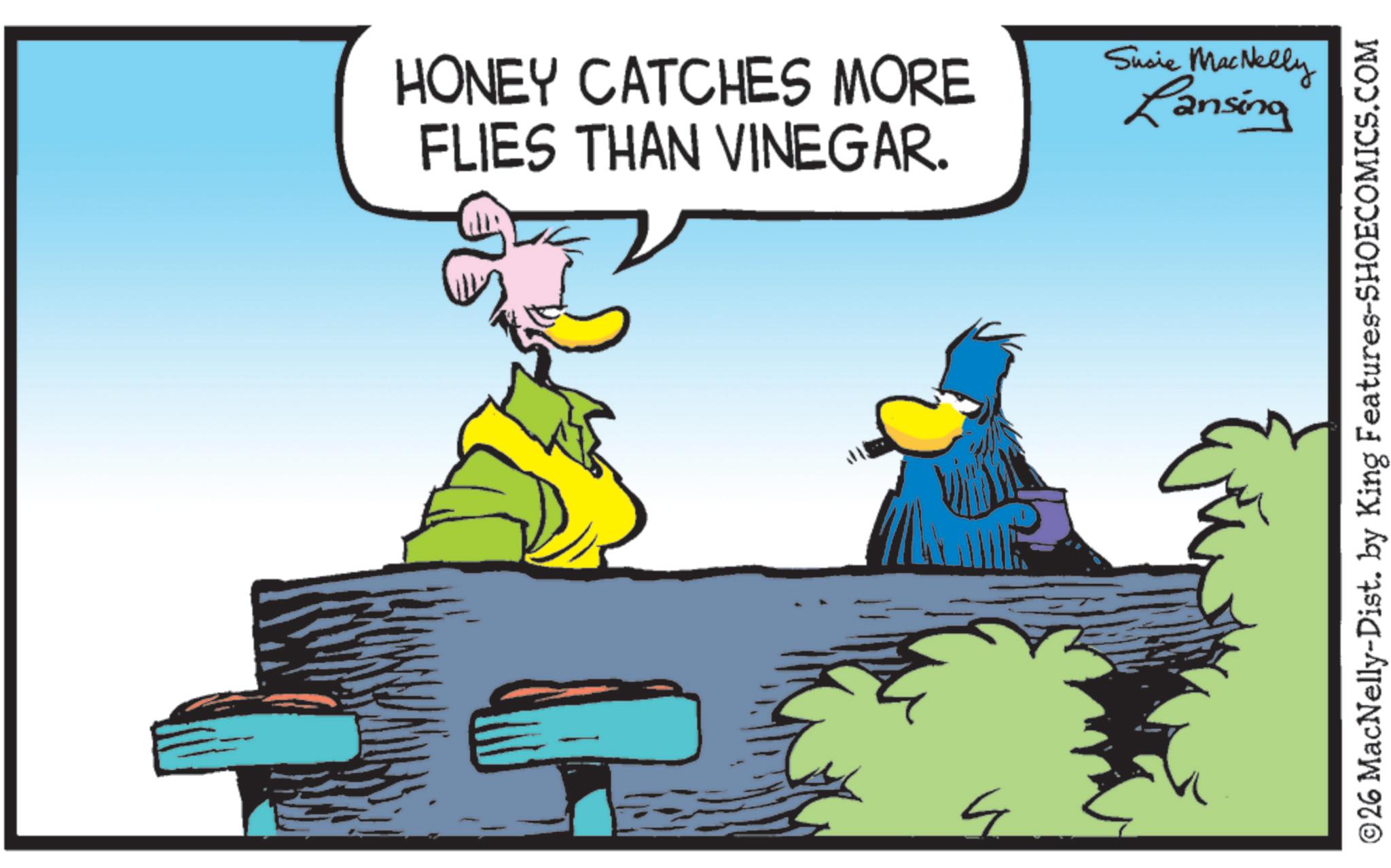 Fictional character OCR: HONEY CATCHES MORE FLIES THAN VINEGAR. Susie MacNelly Lansing ©26 MacNelly-Dist. by King Features-SHOECOMICS.COM HONEY CATCHES MORE FLIES THAN VINEGAR . Susie MacNelly Lansing © 26 MacNelly - Dist . by King Features-SHOECOMICS.COM