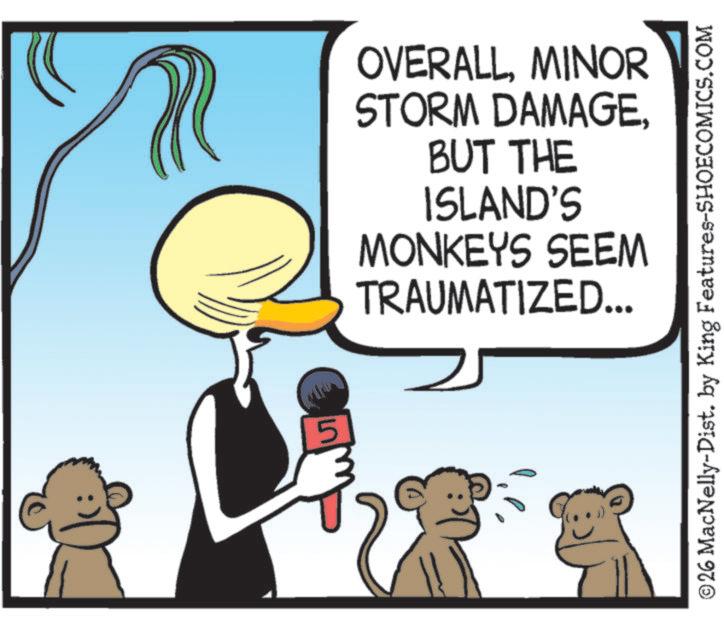 Palm trees OCR: 5 OVERALLMINOR STORM DAMAGEBUT THE ISLAND'S MONKEYS SEEM TRAUMATIZED... ©26 MacNelly-Dist. by King Features-SHOECOMICS.COM 5 OVERALLMINOR STORM DAMAGEBUT THE ISLAND'S MONKEYS SEEM TRAUMATIZED ... © 26 MacNelly - Dist . by King Features-SHOECOMICS.COM