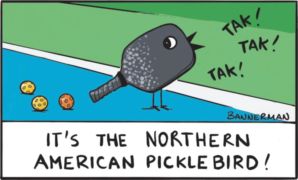 Graphics OCR: TAK! TAK! TAK! BANNERMAN IT'S THE NORTHERN AMERICAN PICKLE BIRD! TAK ! TAK ! TAK ! BANNERMAN IT'S THE NORTHERN AMERICAN PICKLE BIRD !
