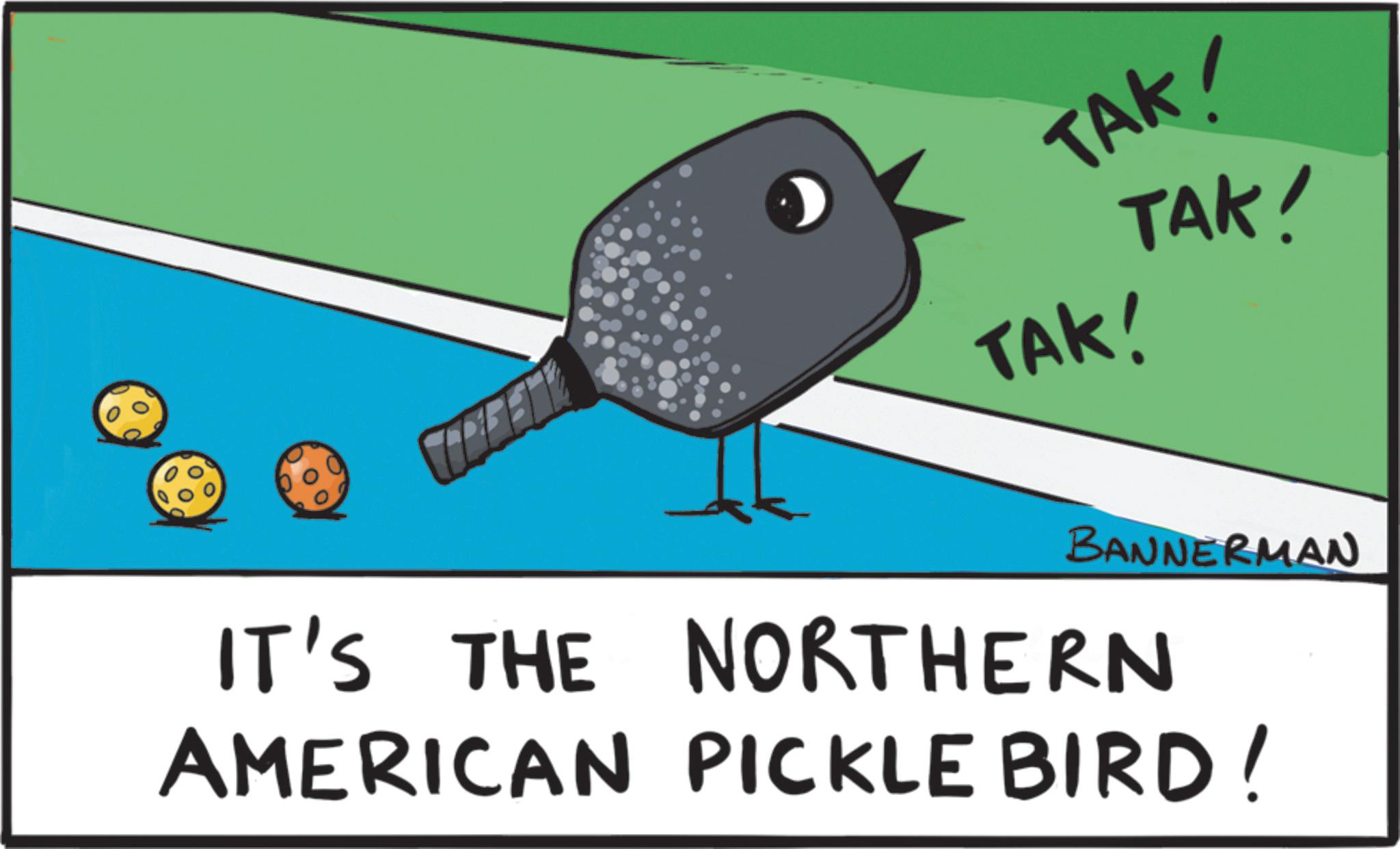 Graphics OCR: TAK! TAK! TAK! BANNERMAN IT'S THE NORTHERN AMERICAN PICKLE BIRD! TAK ! TAK ! TAK ! BANNERMAN IT'S THE NORTHERN AMERICAN PICKLE BIRD !