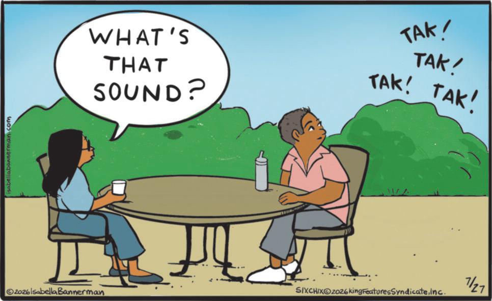 Animated cartoon OCR: isabellabannerman.com WHAT'S THAT SOUND? TAK! TAK! TAK! TAK! 11/^ ©2026lsabella Bannerman SIXCHIXO2026king FeaturesSyndicateInc. 7/27 isabellabannerman.com WHAT'S THAT SOUND ? TAK ! TAK ! TAK ! TAK ! 11 / ^ © 2026lsabella Bannerman SIXCHIXO2026king FeaturesSyndicateInc. 7/27