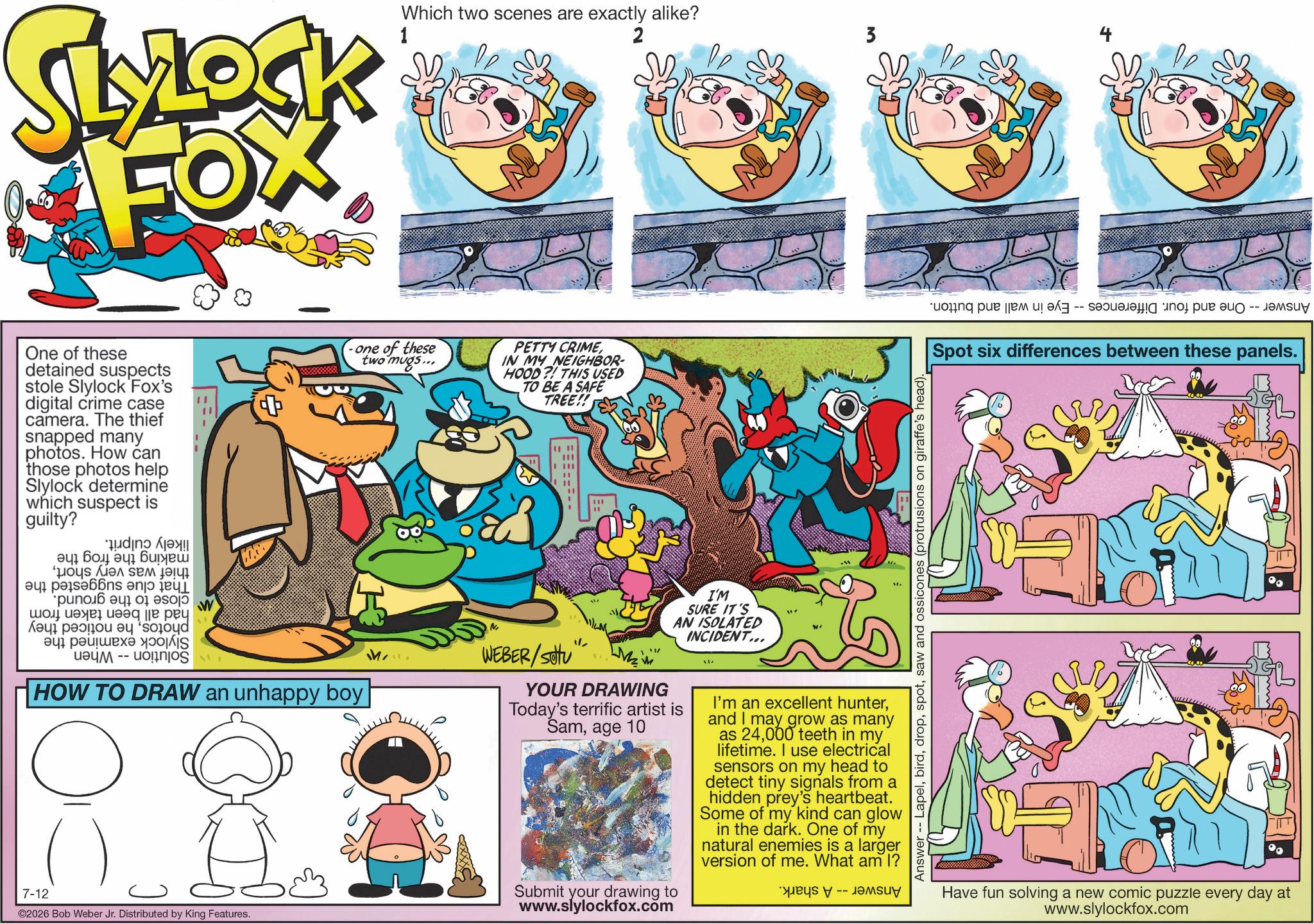 Humour OCR: SLYLOCK FOX Which two scenes are exactly alike? 1 2 One of these detained suspects stole Slylock Fox's digital crime case camera. The thief snapped many photos. How can those photos help Slylock determine which suspect is guilty? ? ??? ??? ???? ps a b ???? ??? ? ?? ???? ???? ? soyd ??? ??????? ? ???? -- -one of these two mugs... HOW TO DRAW an unhappy boy M PETTY CRIMEIN MY NEIGHBOR- HOOD?! THIS USED TO BE A SAFE TREE!! " 7-12 ©2026 Bob Weber Jr. Distributed by King Features. ? M ". - a p Spot six differences between these panels. Answer -- Lapelsaw and ossicones (protrusions on giraffe's head). N WEBER/SU Mz I'M SURE IT'S AN ISOLATED INCIDENT... YOUR DRAWING Today's terrific artist is Samage 10 Submit your drawing to www.slylockfox.com 11. I'm an excellent hunterand I may grow as many as 24000 teeth in my lifetime. I use electrical sensors on my head to detect tiny signals from a hidden prey's heartbeat. Some of my kind can glow in the dark. One of my natural enemies is a larger version of me. What am I? Have fun solving a new comic puzzle every day at www.slylockfox.com SLYLOCK FOX Which two scenes are exactly alike ? 1 2 One of these detained suspects stole Slylock Fox's digital crime case camera . The thief snapped many photos . How can those photos help Slylock determine which suspect is guilty ? ? ??? ??? ???? ps a b ???? ??? ? ?? ???? ???? ? soyd ??? ??????? ? ???? -- -one of these two mugs ... HOW TO DRAW an unhappy boy M PETTY CRIMEIN MY NEIGHBOR- HOOD ?! THIS USED TO BE A SAFE TREE !! " 7-12 © 2026 Bob Weber Jr. Distributed by King Features . ? M " . - a p Spot six differences between these panels . Answer -- Lapelsaw and ossicones ( protrusions on giraffe's head ) . N WEBER / SU Mz I'M SURE IT'S AN ISOLATED INCIDENT ... YOUR DRAWING Today's terrific artist is Samage 10 Submit your drawing to www.slylockfox.com 11 . I'm an excellent hunterand I may grow as many as 24000 teeth in my lifetime . I use electrical sensors on my head to detect tiny signals from a hidden prey's heartbeat . Some of my kind can glow in the dark . One of my natural enemies is a larger version of me . What am I ? Have fun solving a new comic puzzle every day at www.slylockfox.com