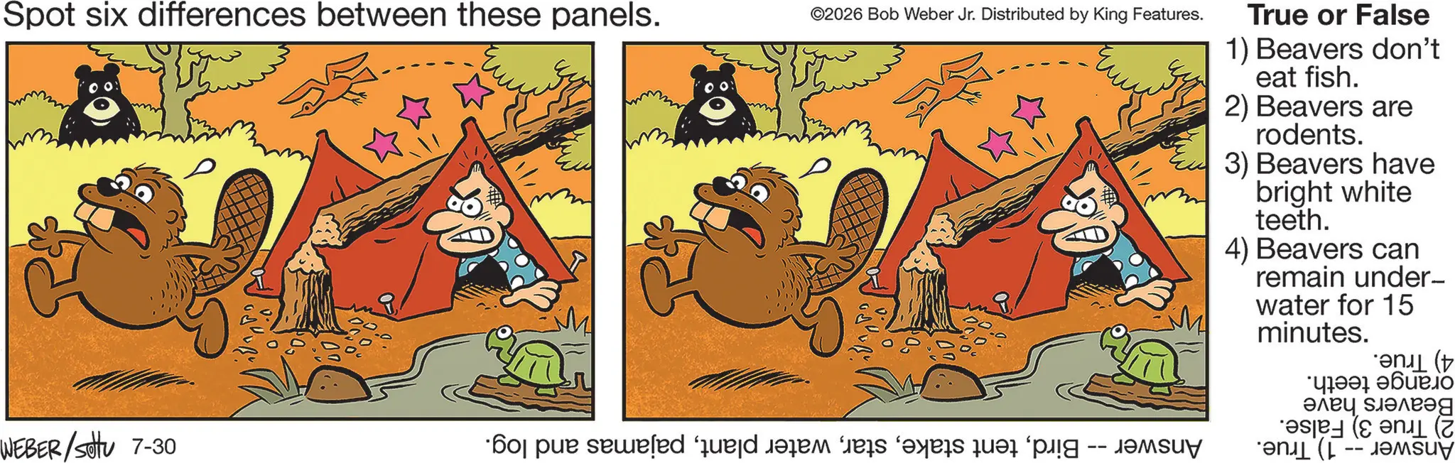 Publication OCR: Spot six differences between these panels. 80 ©2026 Bob Weber Jr. Distributed by King Features. WEBER/SU 7-30 *60 pur seweled “qued modem das as far -- True or False 1) Beavers don't eat fish. 2) Beavers are rodents. 3) Beavers have bright white teeth. 4) Beavers can remain under- water for 15 minutes. * ?????? ???????? Spot six differences between these panels . 80 © 2026 Bob Weber Jr. Distributed by King Features . WEBER / SU 7-30 * 60 pur seweled “ qued modem das as far -- True or False 1 ) Beavers don't eat fish . 2 ) Beavers are rodents . 3 ) Beavers have bright white teeth . 4 ) Beavers can remain under- water for 15 minutes . * ?????? ????