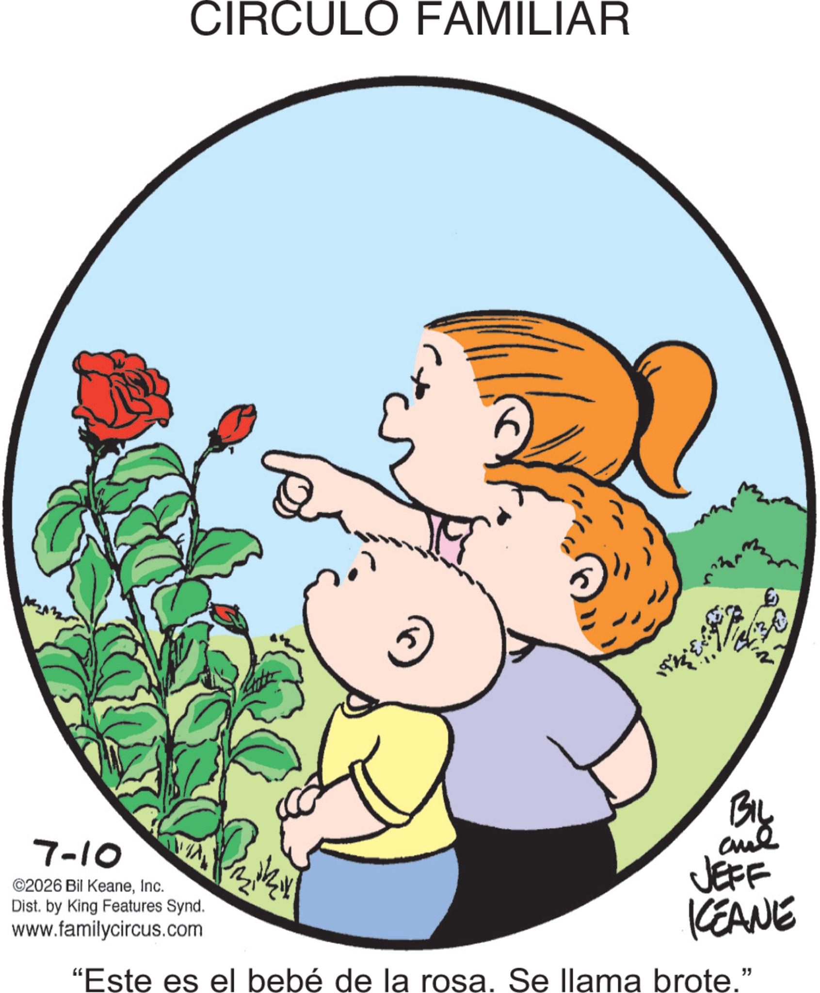 Geraniums OCR: CIRCULO FAMILIAR 7-10 ©2026 Bil KeaneInc. Dist. by King Features Synd. www.familycircus.com BIL and JEFF KCEANE "Este es el bebé de la rosa. Se llama brote." CIRCULO FAMILIAR 7-10 © 2026 Bil KeaneInc. Dist . by King Features Synd . www.familycircus.com BIL and JEFF KCEANE " Este es el bebé de la rosa . Se llama brote . "