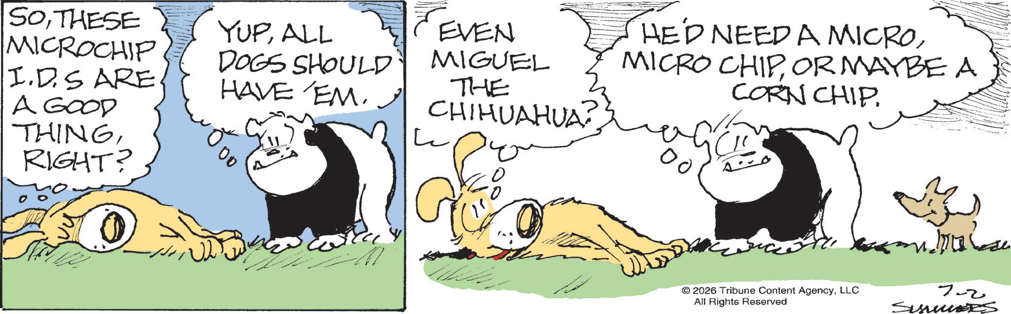 Graphics OCR: SOTHESE MICROCHIP I.D.S ARE A GOOD THINGRIGHT? YUPALL DOGS SHOULD HAVE EM. 00 EVEN MIGUEL THE CHIHUAHUA? ?? HE'D NEED A MICROOR MAYBE A CORN CHIP. 00 © 2026 Tribune Content AgencyLLC All Rights Reserved 7-2 Sumes SOTHESE MICROCHIP I.D.S ARE A GOOD THINGRIGHT ? YUPALL DOGS SHOULD HAVE EM . 00 EVEN MIGUEL THE CHIHUAHUA ? ?? HE'D NEED A MICROMICRO CHIPOR MAYBE A CORN CHIP . 00 © 2026 Tribune Content AgencyLLC All Rights Reserved 7-2 Sumes