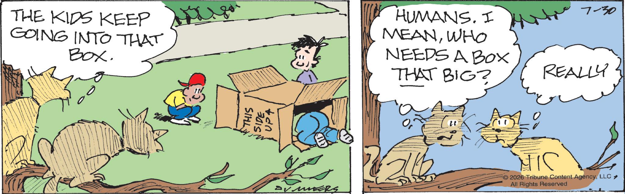 Comic book OCR: THE KIDS KEEP GOING INTO THAT Box. THIS SIDE UP4 HUMANS. I MEANWHO NEEDS A Box THAT BIG? 7-30 REALLY 211 MIC FO 2026 Tribune Content AgencyLLC ? All Rights Reserved THE KIDS KEEP GOING INTO THAT Box . THIS SIDE UP4 HUMANS . I MEANWHO NEEDS A Box THAT BIG ? 7-30 REALLY 211 MIC FO 2026 Tribune Content AgencyLLC ? All Rights Reserved