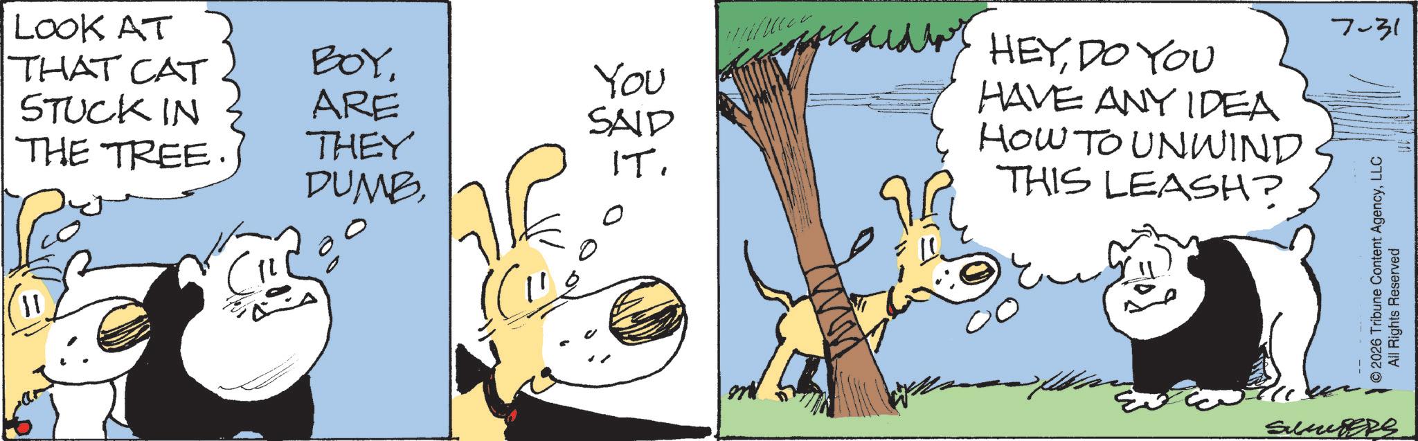 Comic book OCR: LOOK AT THAT CAT BOY You STUCK IN ARE SAID THE TREE. THEY IT. DUMB11 HEYDO YOU HAVE ANY IDEA HOW TO UNWIND THIS LEASH? 7-31 2026 Tribune Content AgencyLLC All Rights Reserved Sumurs LOOK AT THAT CAT BOY You STUCK IN ARE SAID THE TREE . THEY IT . DUMB11 HEYDO YOU HAVE ANY IDEA HOW TO UNWIND THIS LEASH ? 7-31 2026 Tribune Content AgencyLLC All Rights Reserved Sumurs