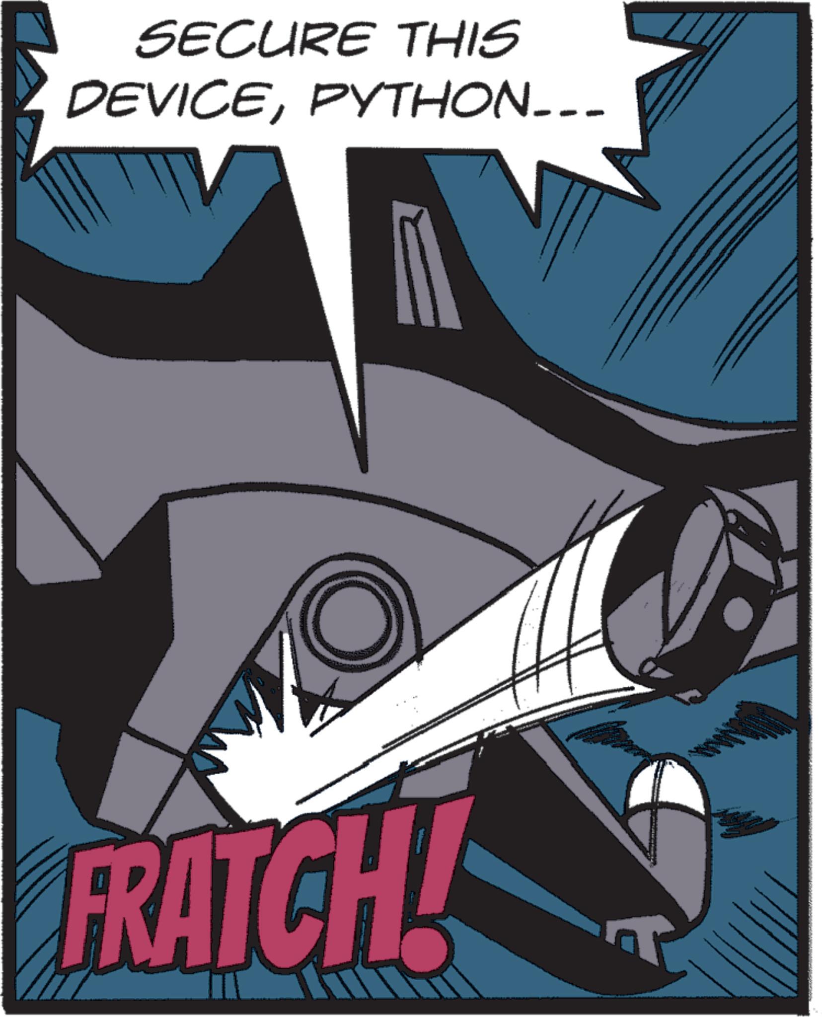 Graphic design OCR: SECURE THIS DEVICEPYTHON___ FRATCH! SECURE THIS DEVICEPYTHON___ FRATCH !
