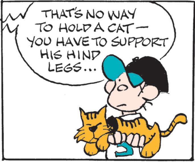 Photo caption OCR: THAT'S NO WAY TO HOLD A CAT - YOU HAVE TO SUPPORT HIS HIND LEGS... THAT'S NO WAY TO HOLD A CAT - YOU HAVE TO SUPPORT HIS HIND LEGS ...