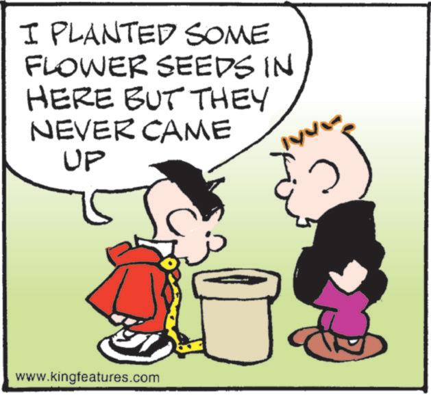 Animation OCR: I PLANTED SOME FLOWER SEEDS IN HERE BUT THEY NEVER CAME UP www.kingfeatures.com I PLANTED SOME FLOWER SEEDS IN HERE BUT THEY NEVER CAME UP www.kingfeatures.com
