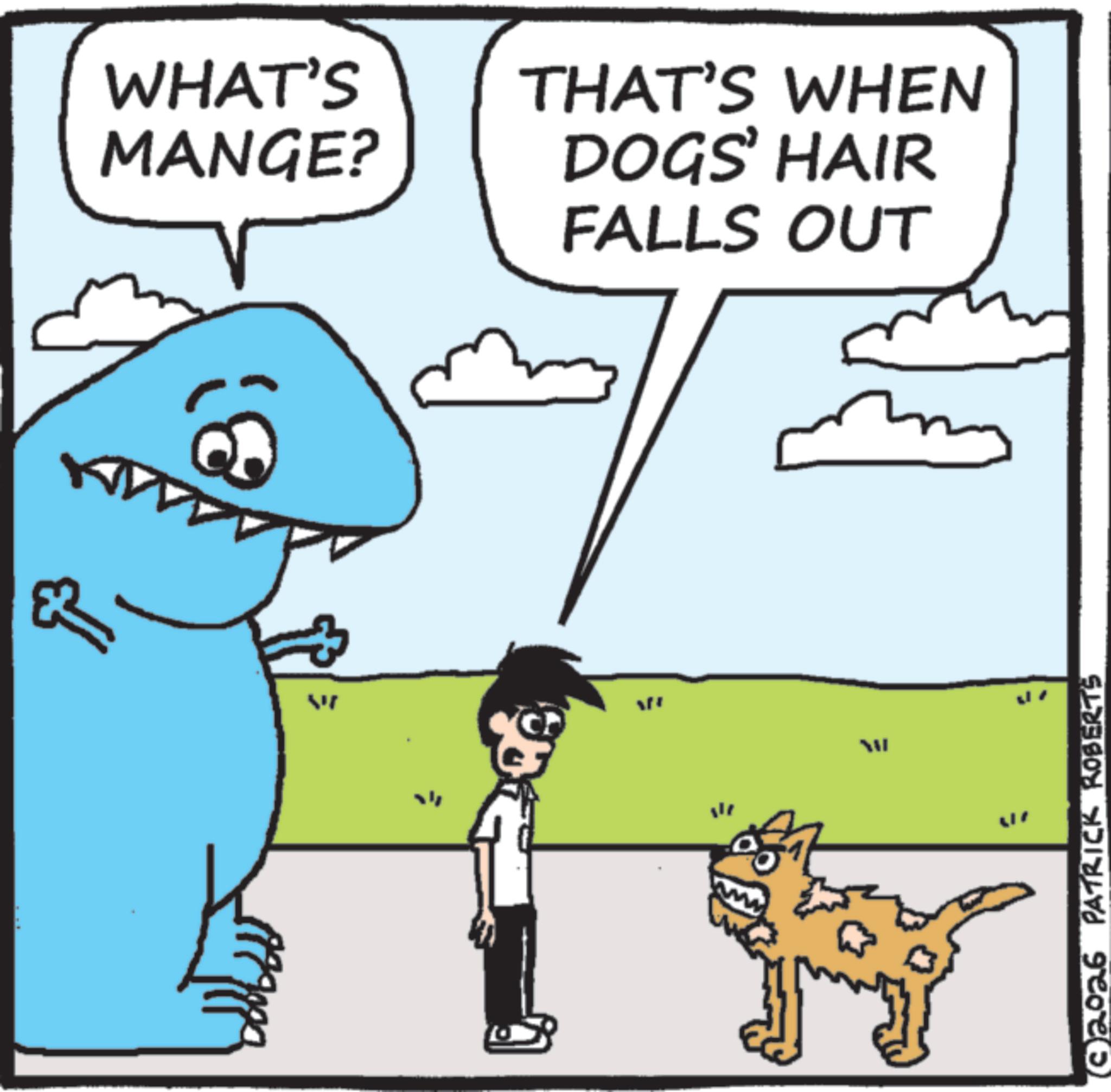 Fiction OCR: WHAT'S MANGE? THAT'S WHEN DOGS' HAIR FALLS OUT W 2026 PATRICK ROBERTS WHAT'S MANGE ? THAT'S WHEN DOGS ' HAIR FALLS OUT W 2026 PATRICK ROBERTS